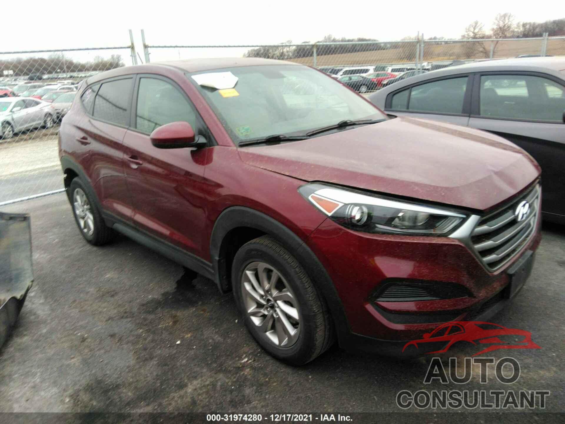 HYUNDAI TUCSON 2017 - KM8J23A45HU487911
