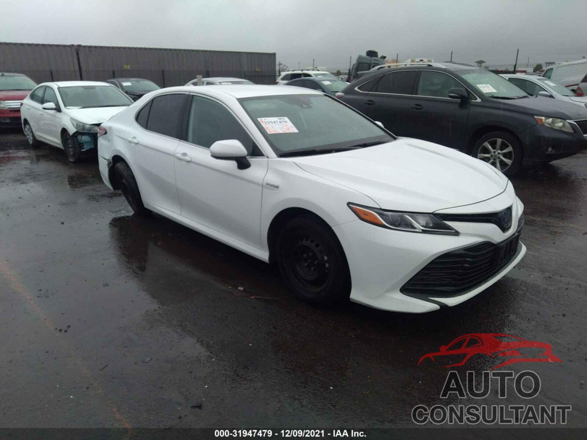 TOYOTA CAMRY 2019 - 4T1B31HK9KU516795