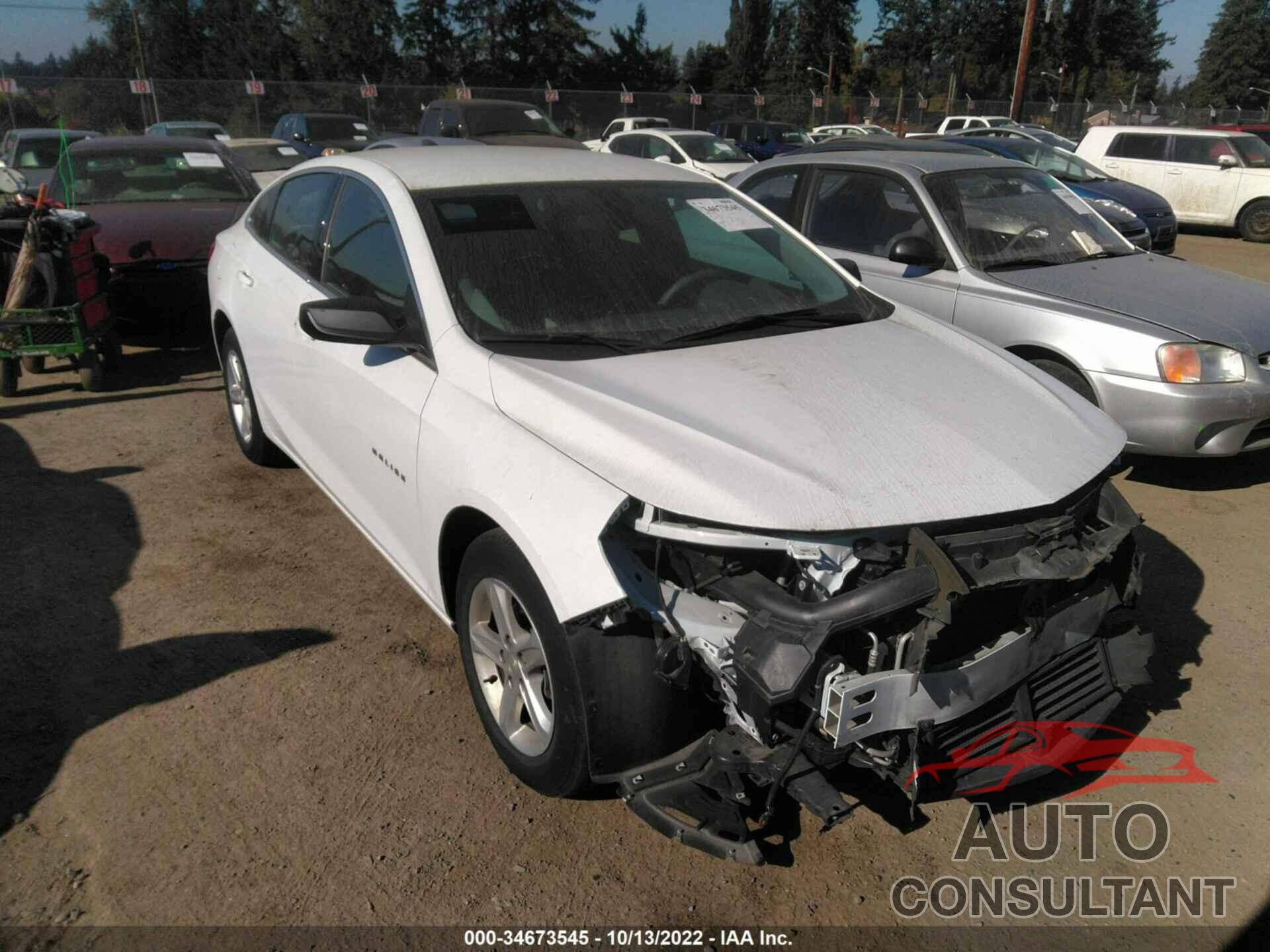 CHEVROLET MALIBU 2020 - 1G1ZB5ST9LF157591