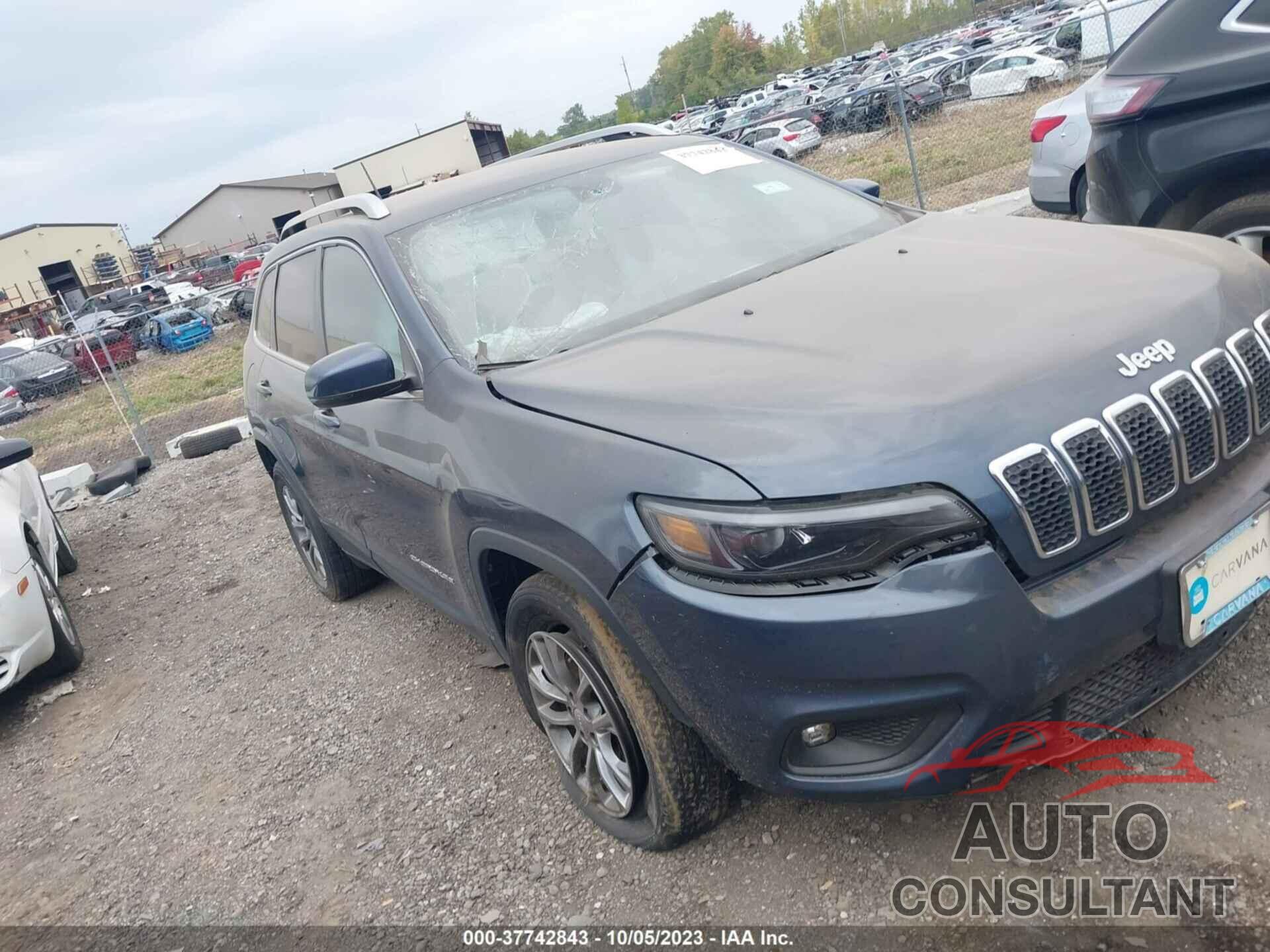 JEEP CHEROKEE 2019 - 1C4PJMLB5KD425158