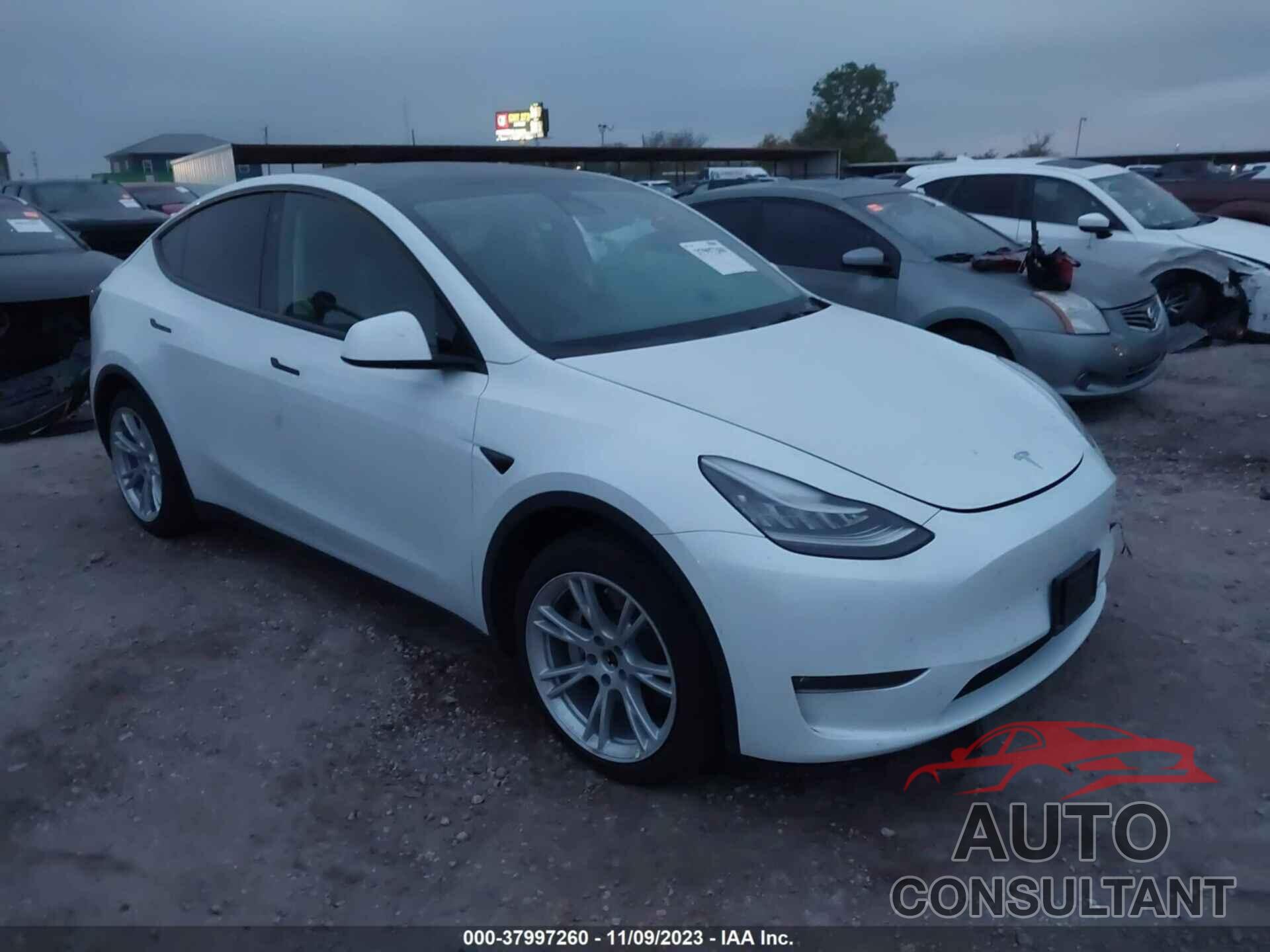 TESLA MODEL Y 2021 - 5YJYGAEE2MF113237