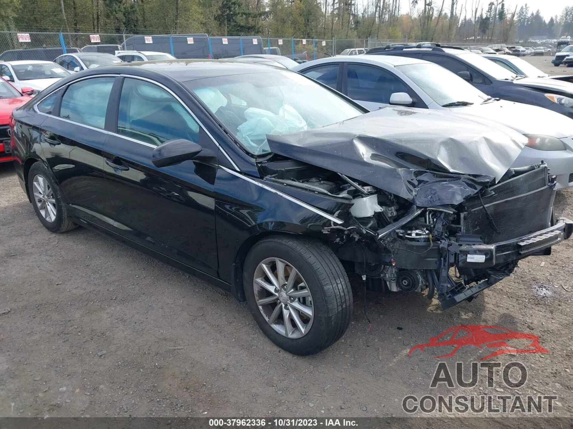 HYUNDAI SONATA 2019 - 5NPE24AF8KH804756