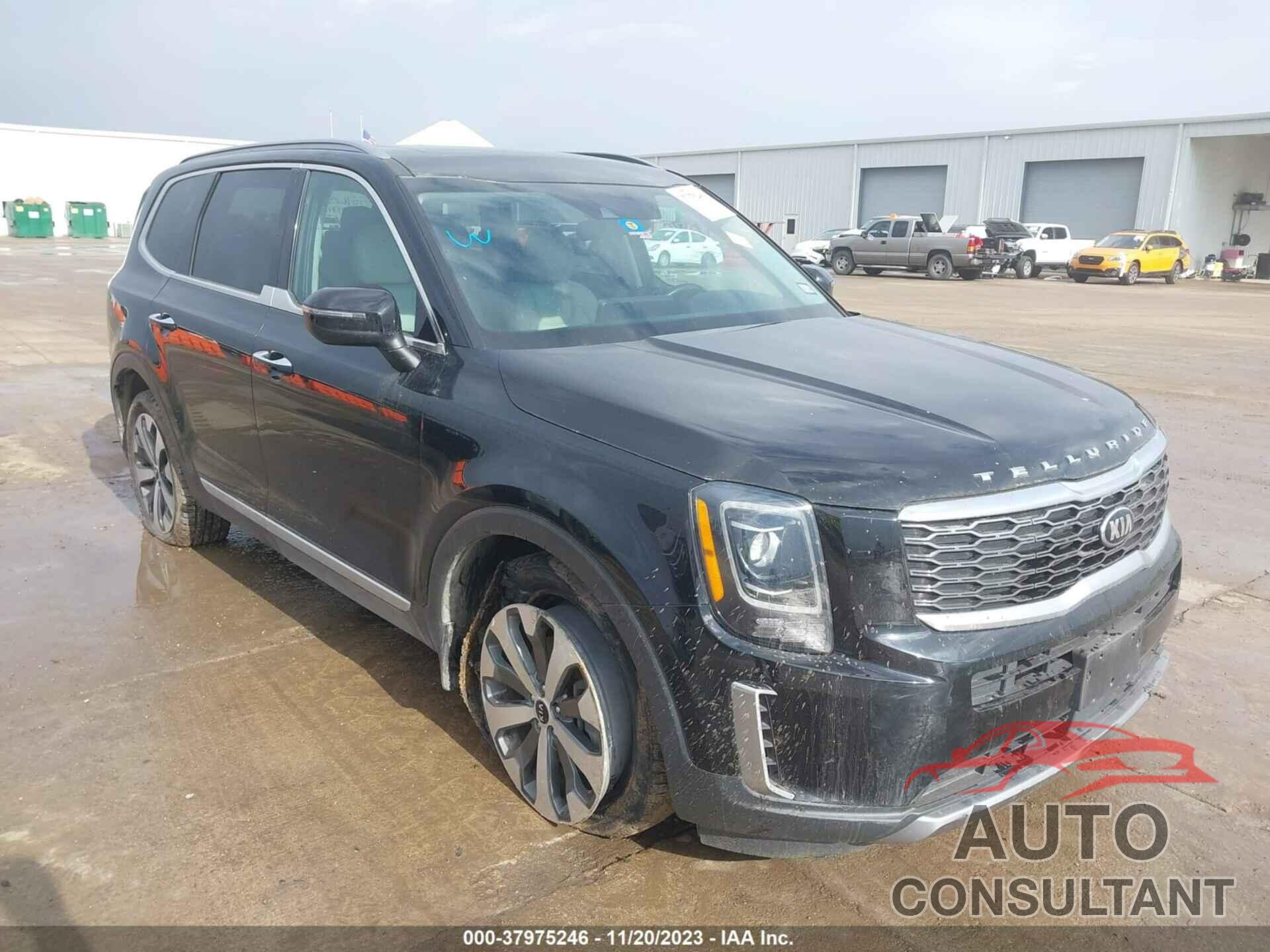 KIA TELLURIDE 2020 - 5XYP6DHC6LG095679