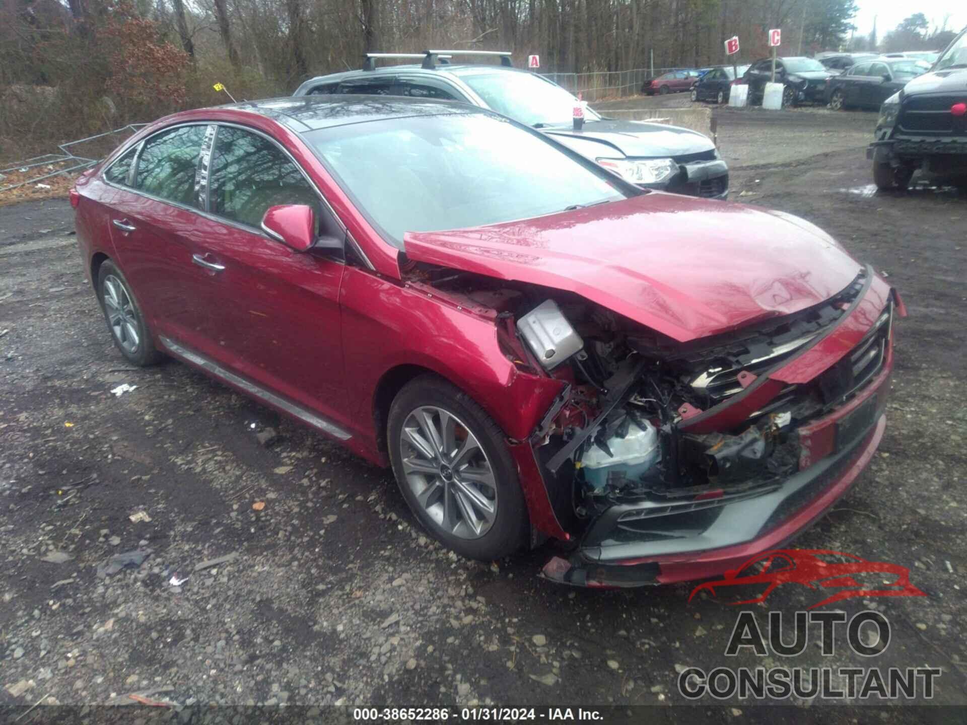 HYUNDAI SONATA 2016 - 5NPE34AF6GH284044