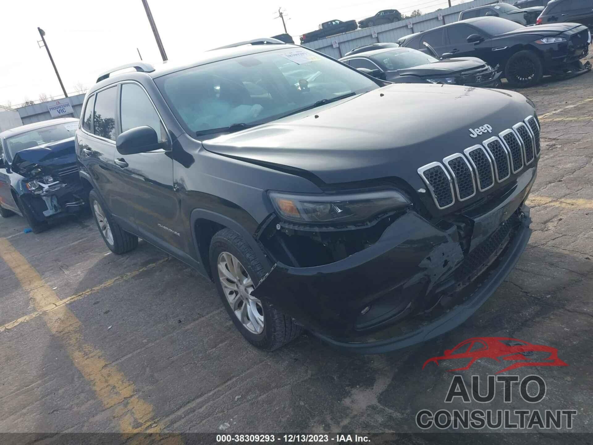 JEEP CHEROKEE 2019 - 1C4PJLCB1KD248473