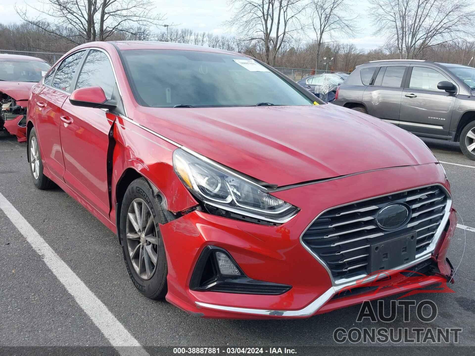 HYUNDAI SONATA 2019 - 5NPE24AF5KH794364