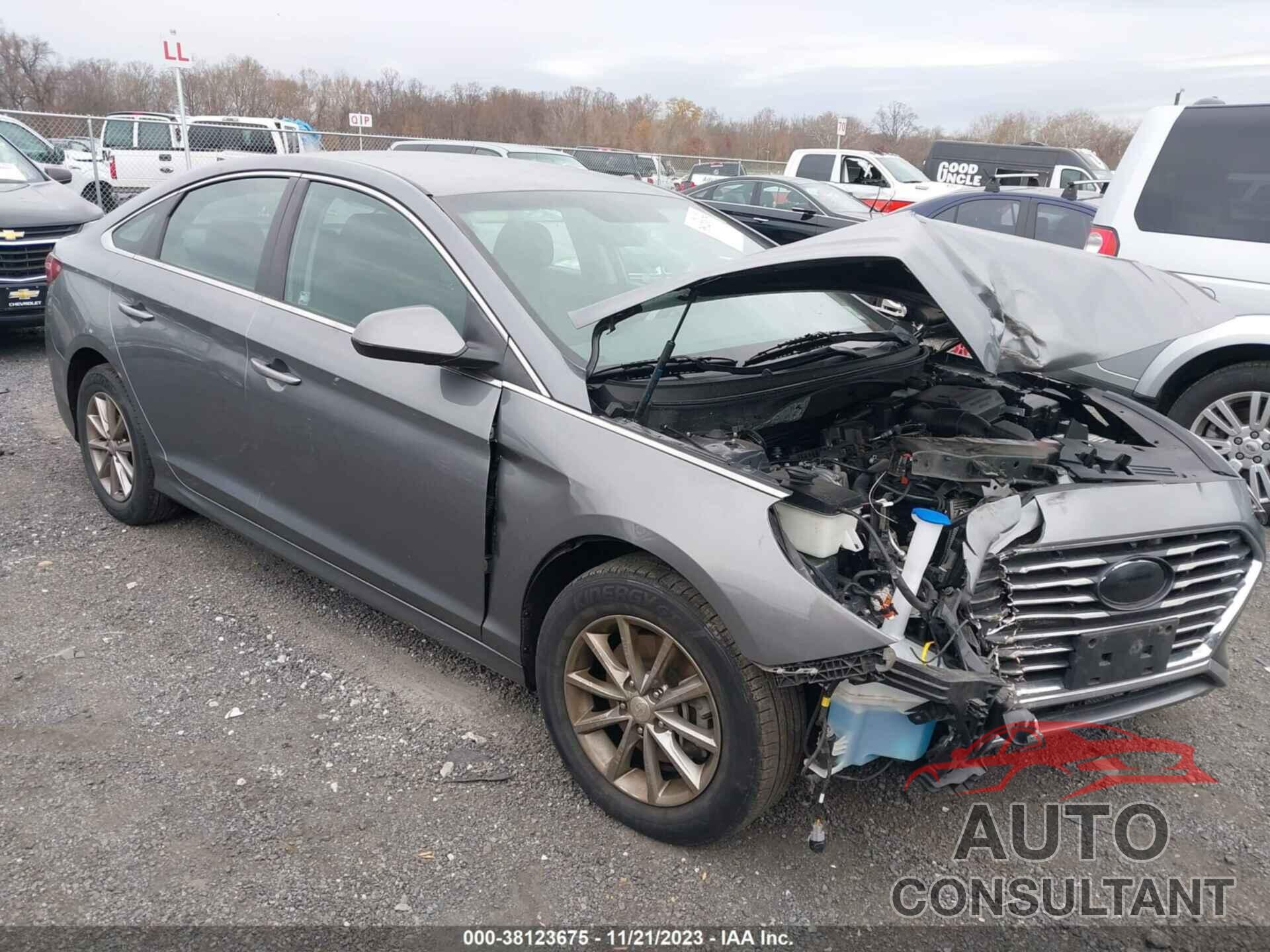 HYUNDAI SONATA 2019 - 5NPE24AF2KH745431