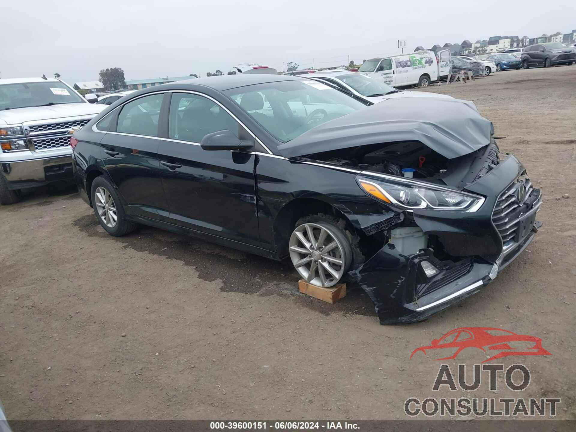 HYUNDAI SONATA 2019 - 5NPE24AF4KH739291