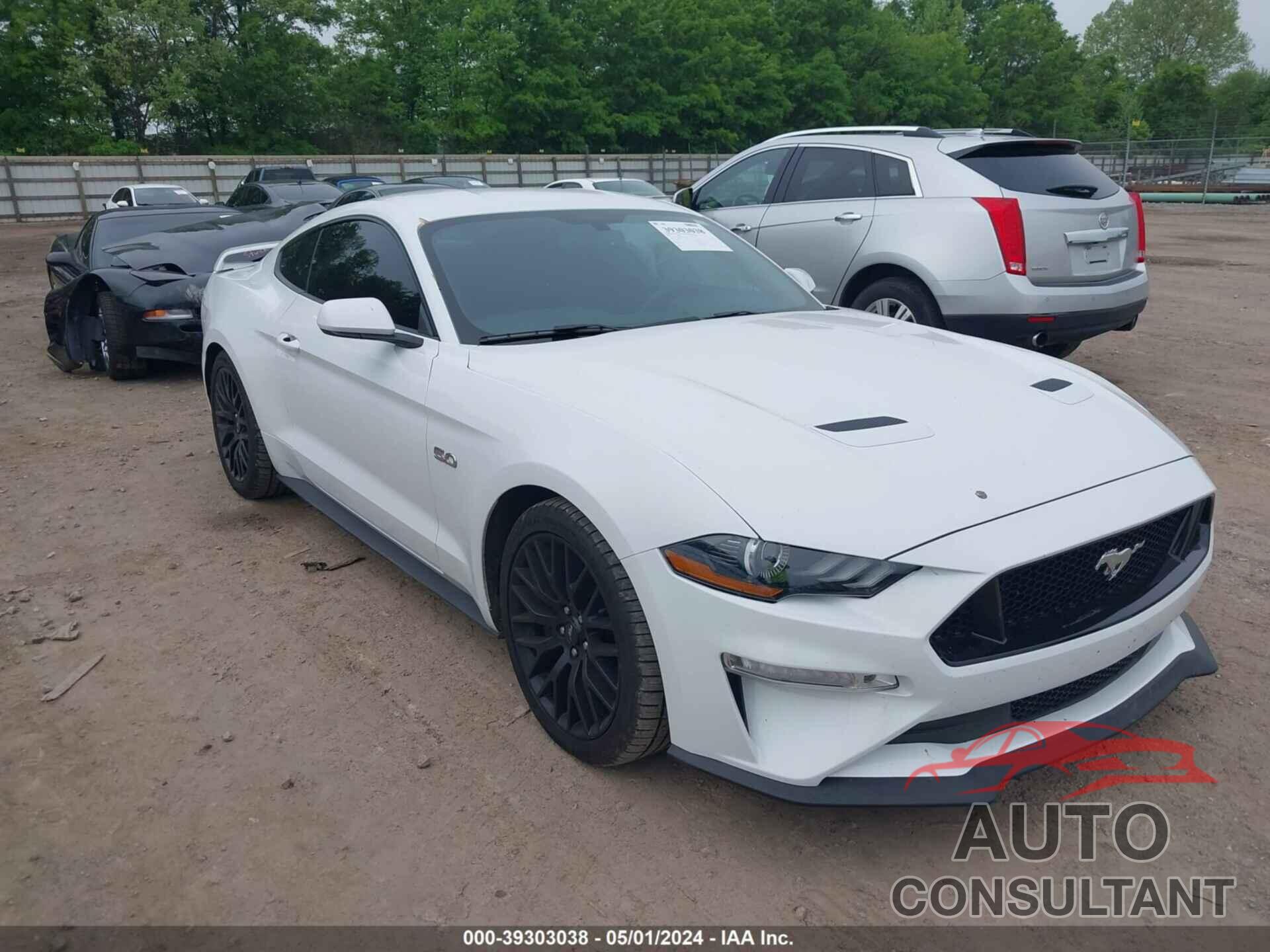 FORD MUSTANG 2019 - 1FA6P8CF7K5163423