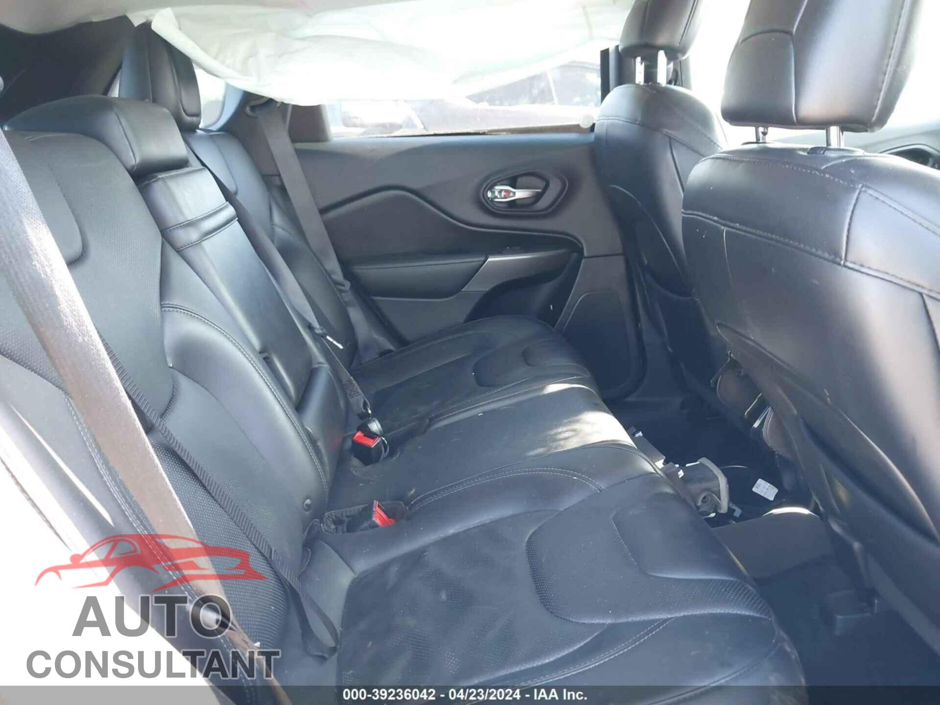 JEEP CHEROKEE 2019 - 1C4PJLDN5KD242586