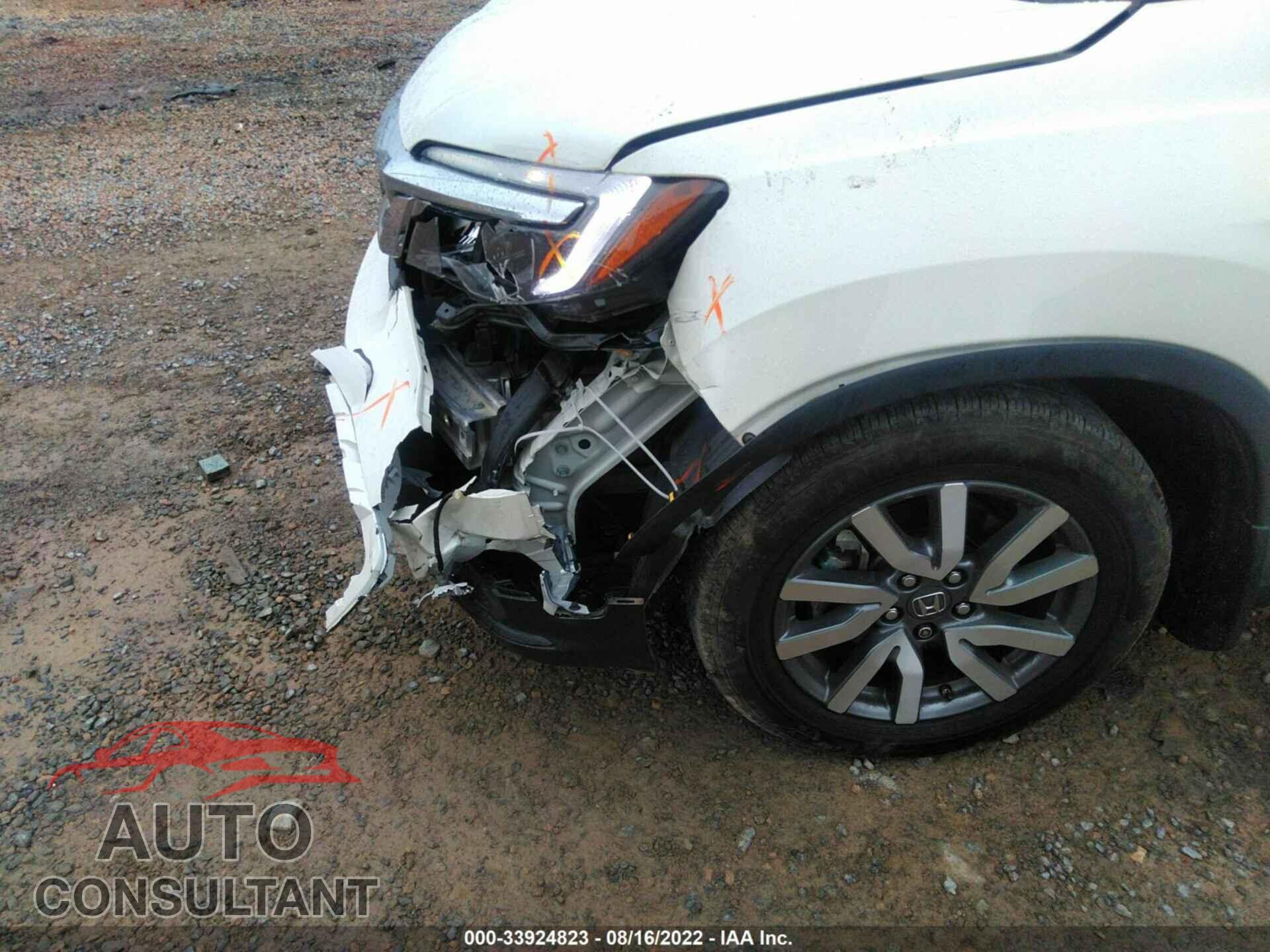 HONDA PILOT 2019 - 5FNYF5H55KB018657