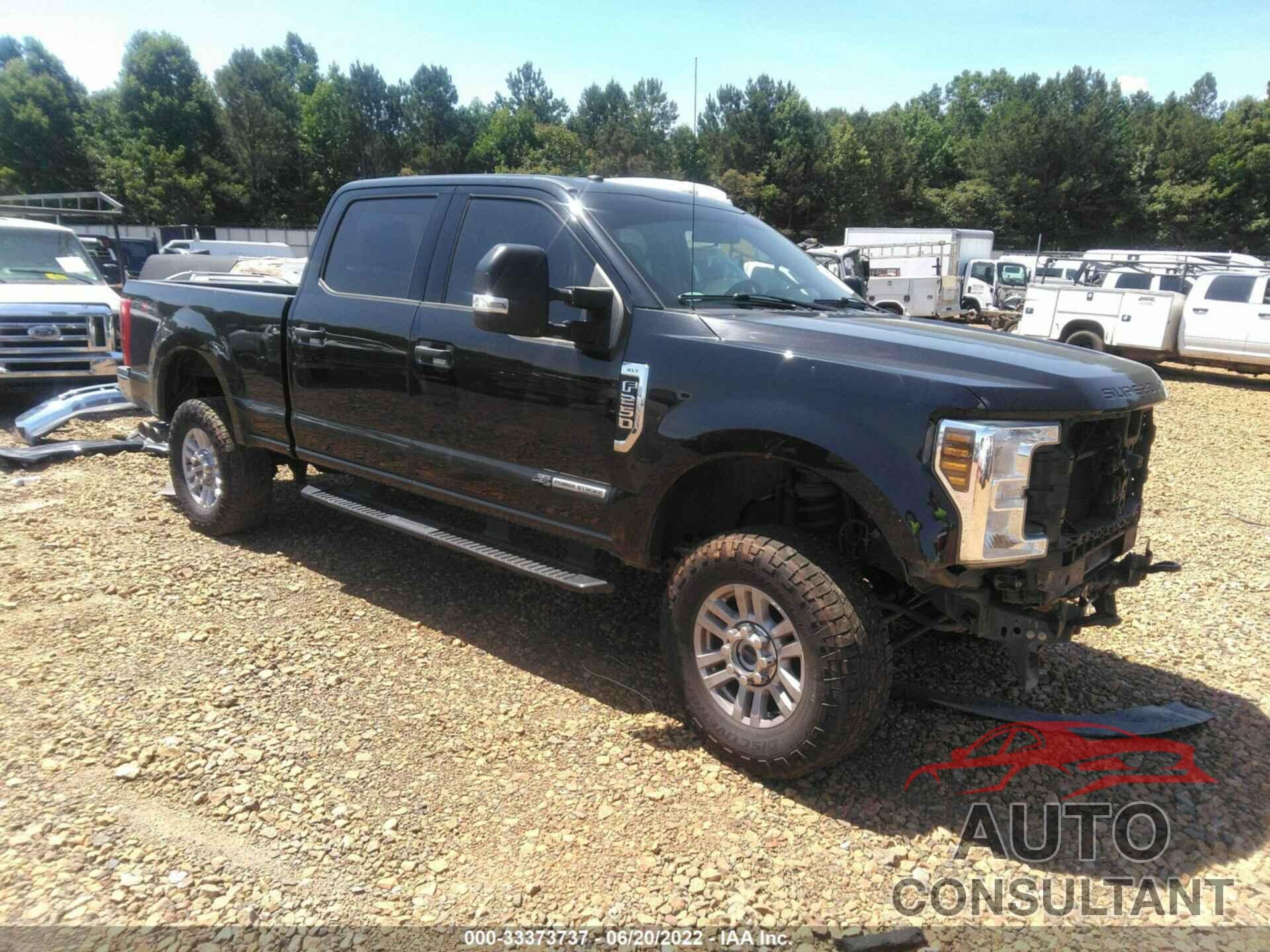 FORD SUPER DUTY F-250 SRW 2019 - 1FT7W2BT8KEE34849