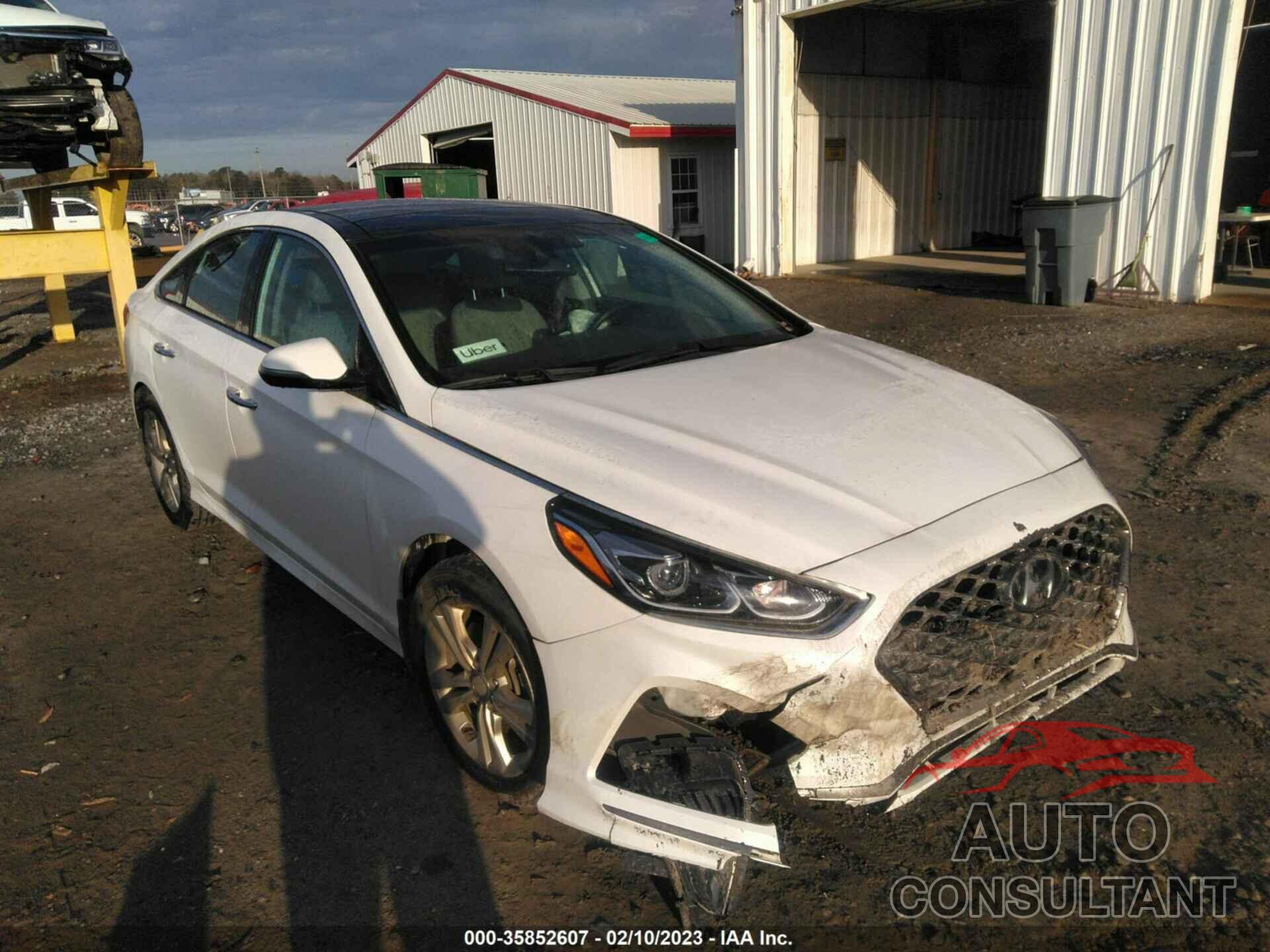 HYUNDAI SONATA 2019 - 5NPE34AFXKH793563