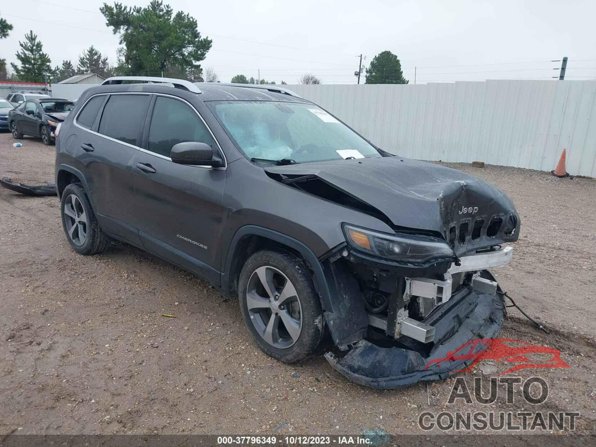 JEEP CHEROKEE 2019 - 1C4PJLDB9KD278366