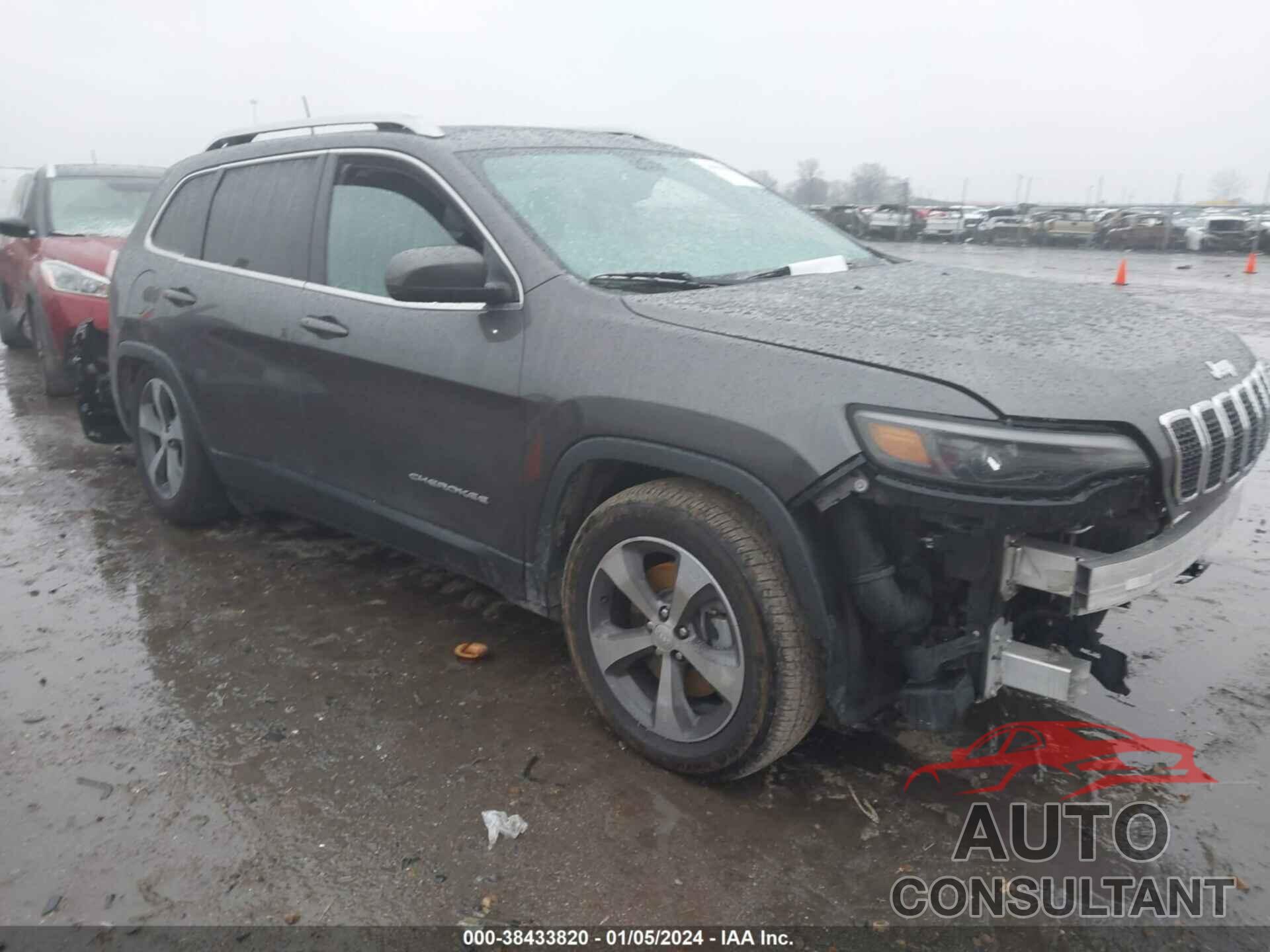 JEEP CHEROKEE 2019 - 1C4PJMDN0KD236569