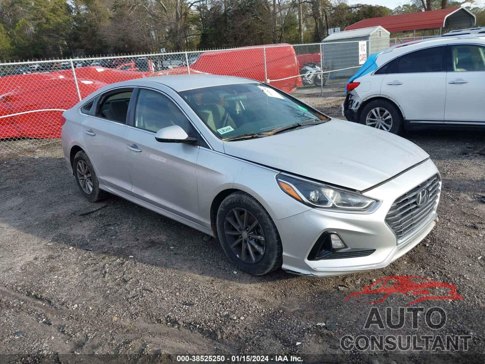 HYUNDAI SONATA 2019 - 5NPE24AF6KH755914