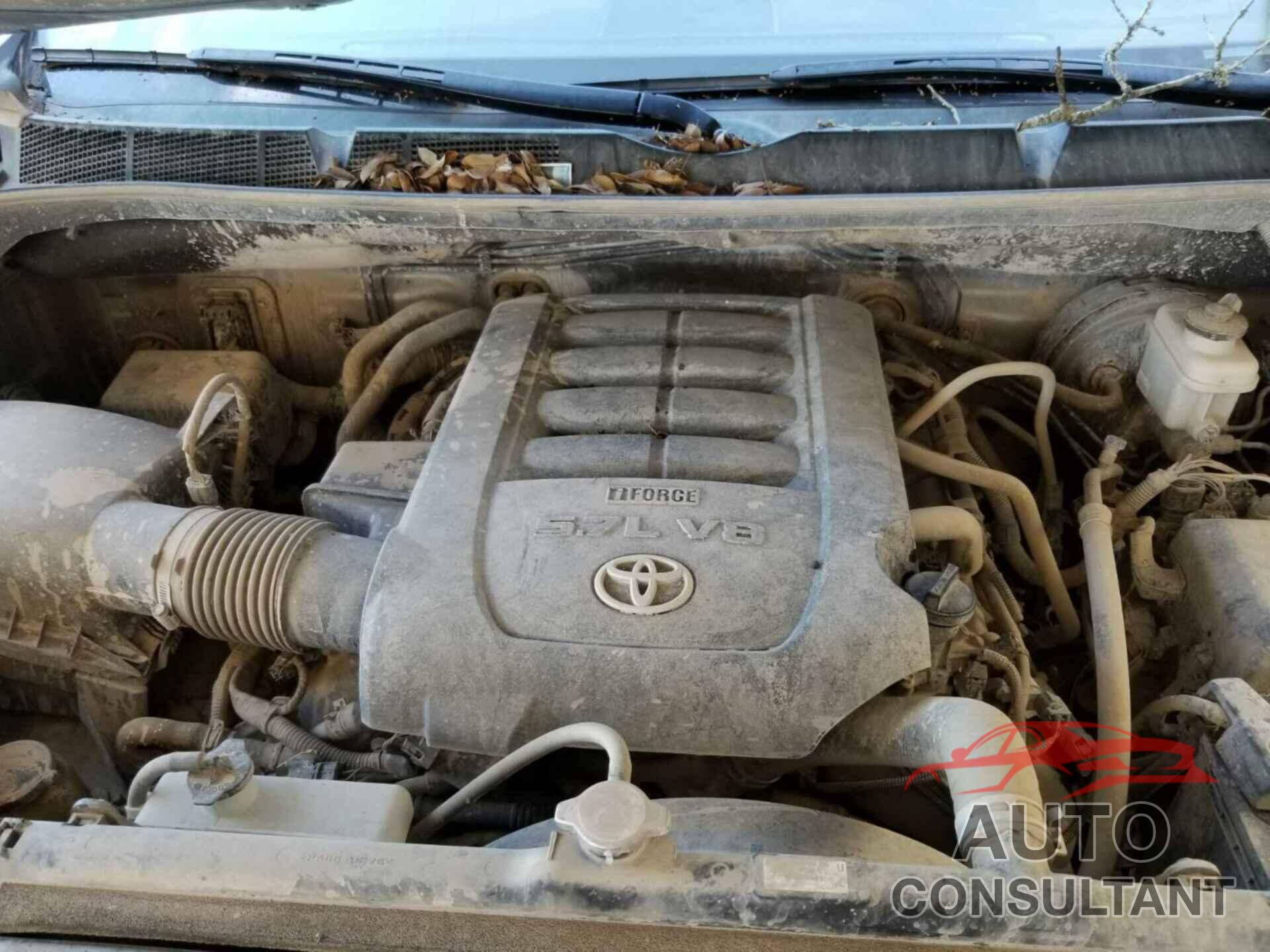 TOYOTA TUNDRA 2020 - 5TFDY5F18LX913298