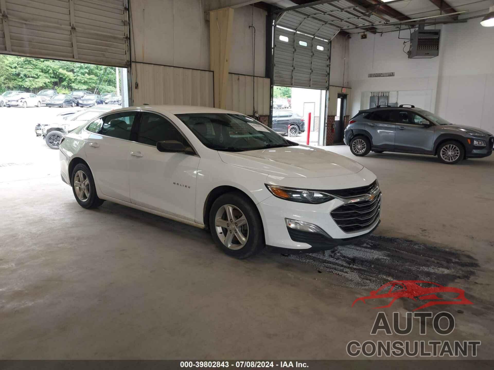 CHEVROLET MALIBU 2019 - 1G1ZC5ST3KF180179