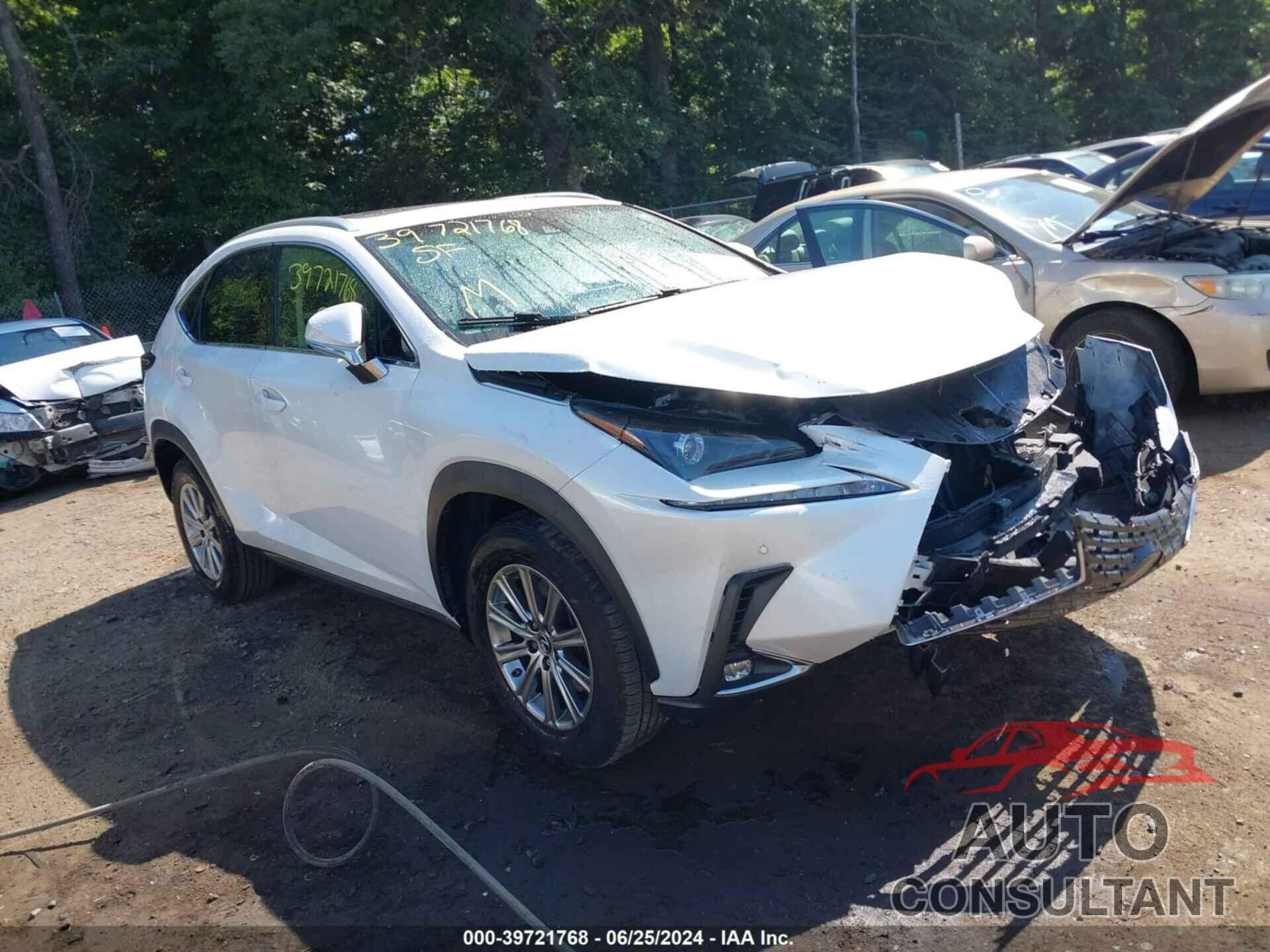 LEXUS NX 300 2019 - JTJYARBZ6K2134628