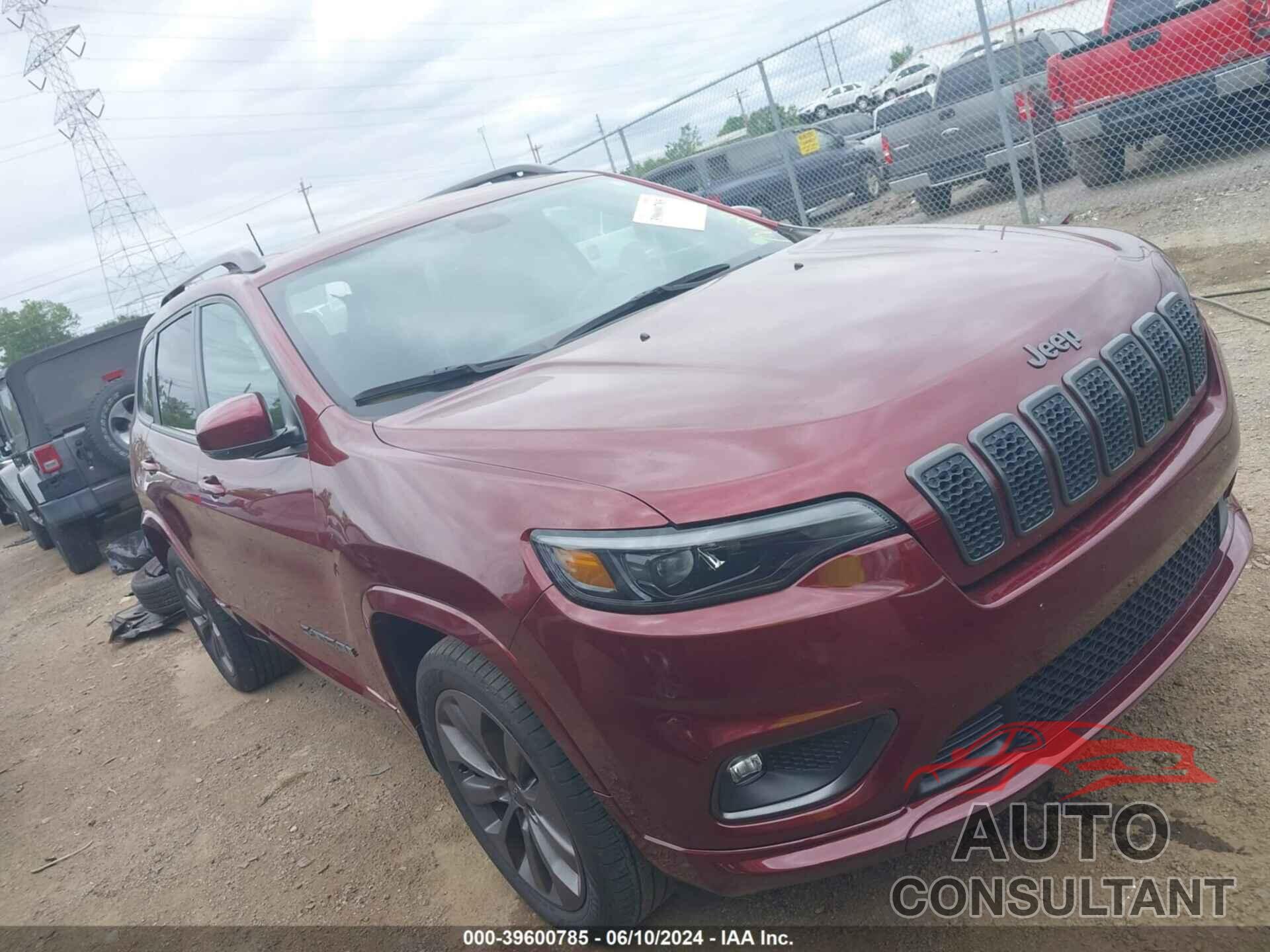 JEEP CHEROKEE 2019 - 1C4PJMDX3KD451963