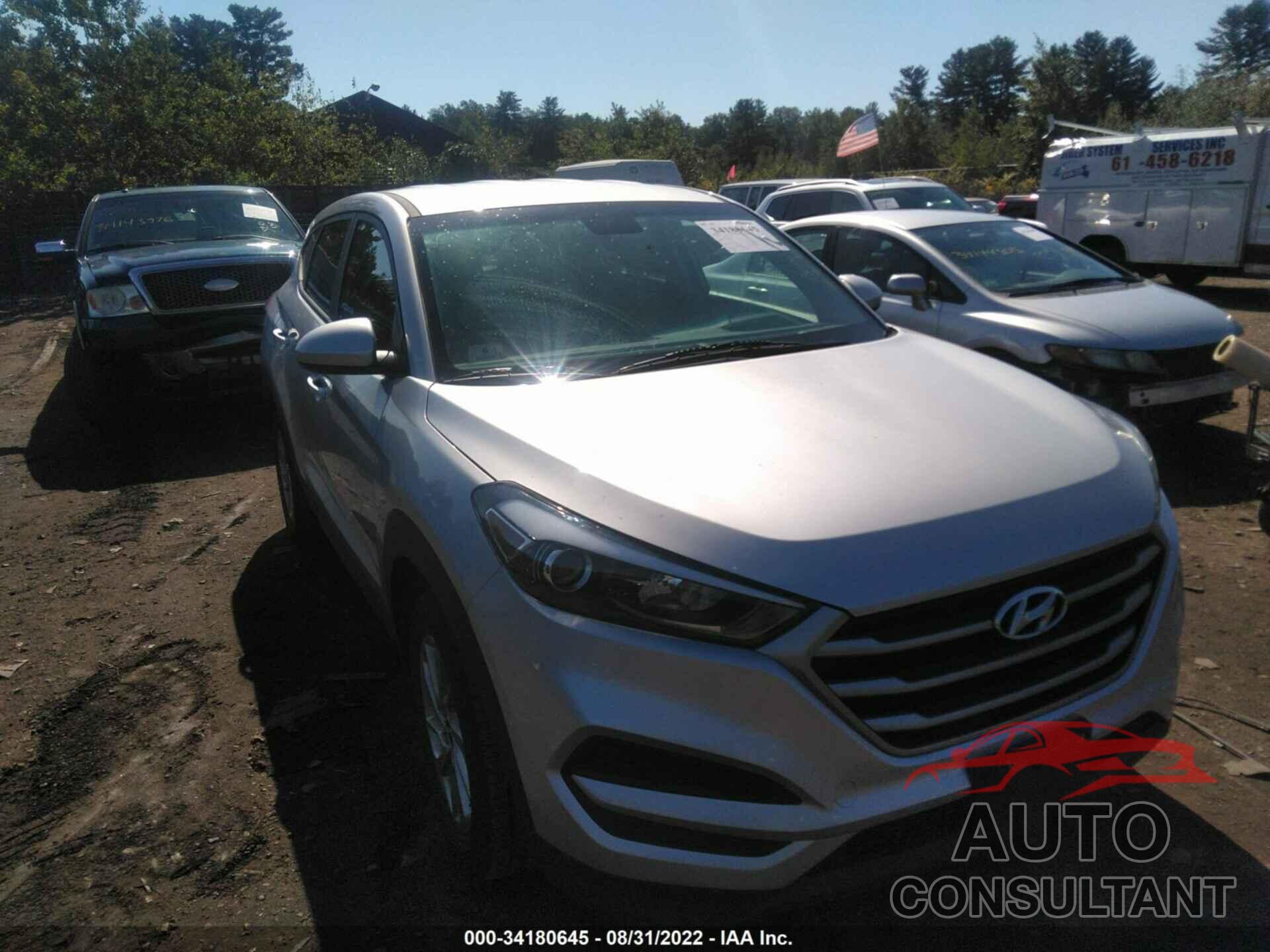 HYUNDAI TUCSON 2017 - KM8J23A44HU382471