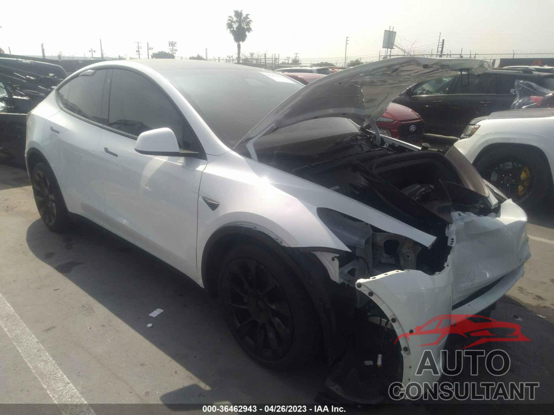 TESLA MODEL Y 2022 - 7SAYGDEEXNF446923