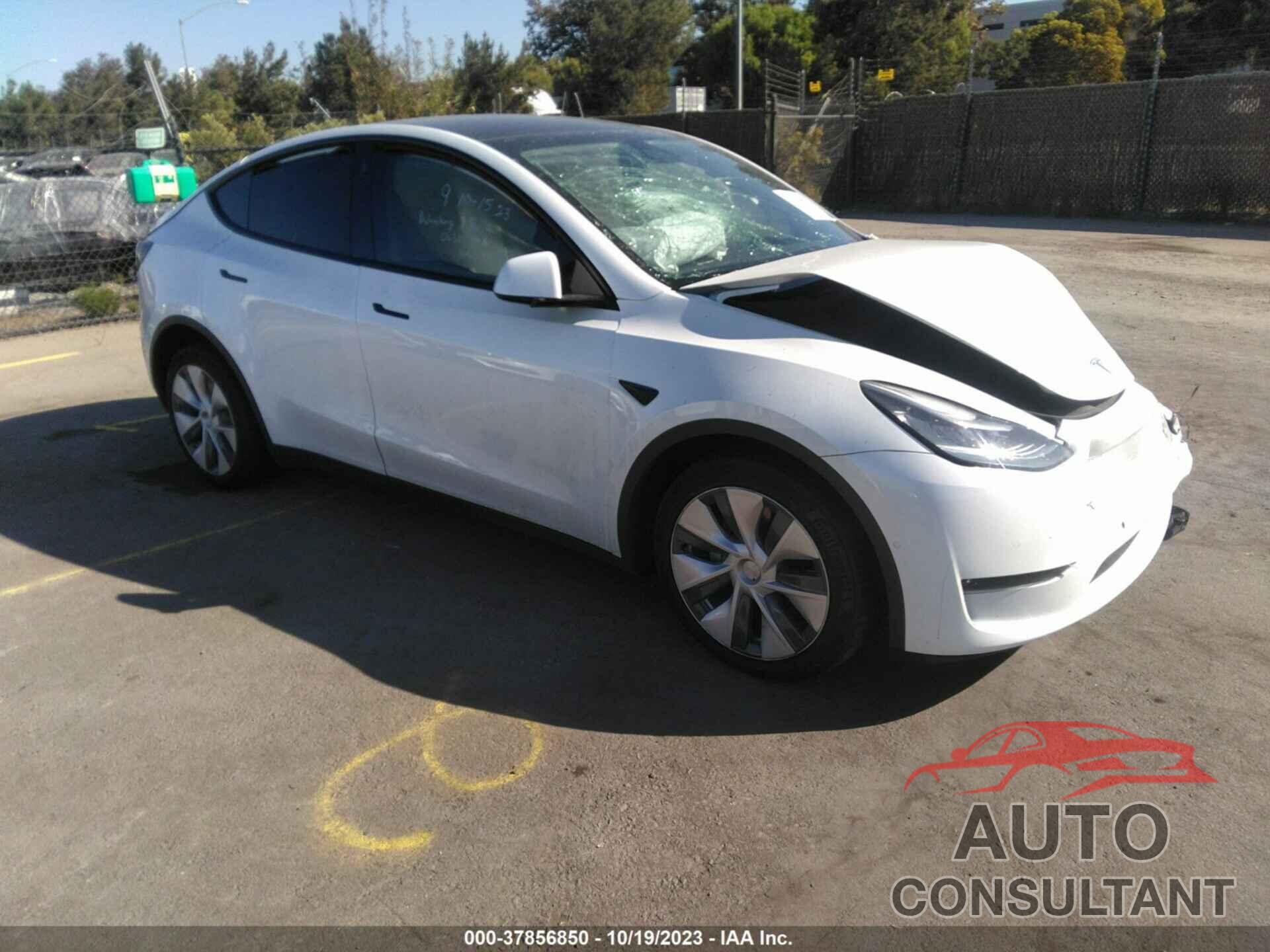 TESLA MODEL Y 2021 - 5YJYGDEE0MF066209