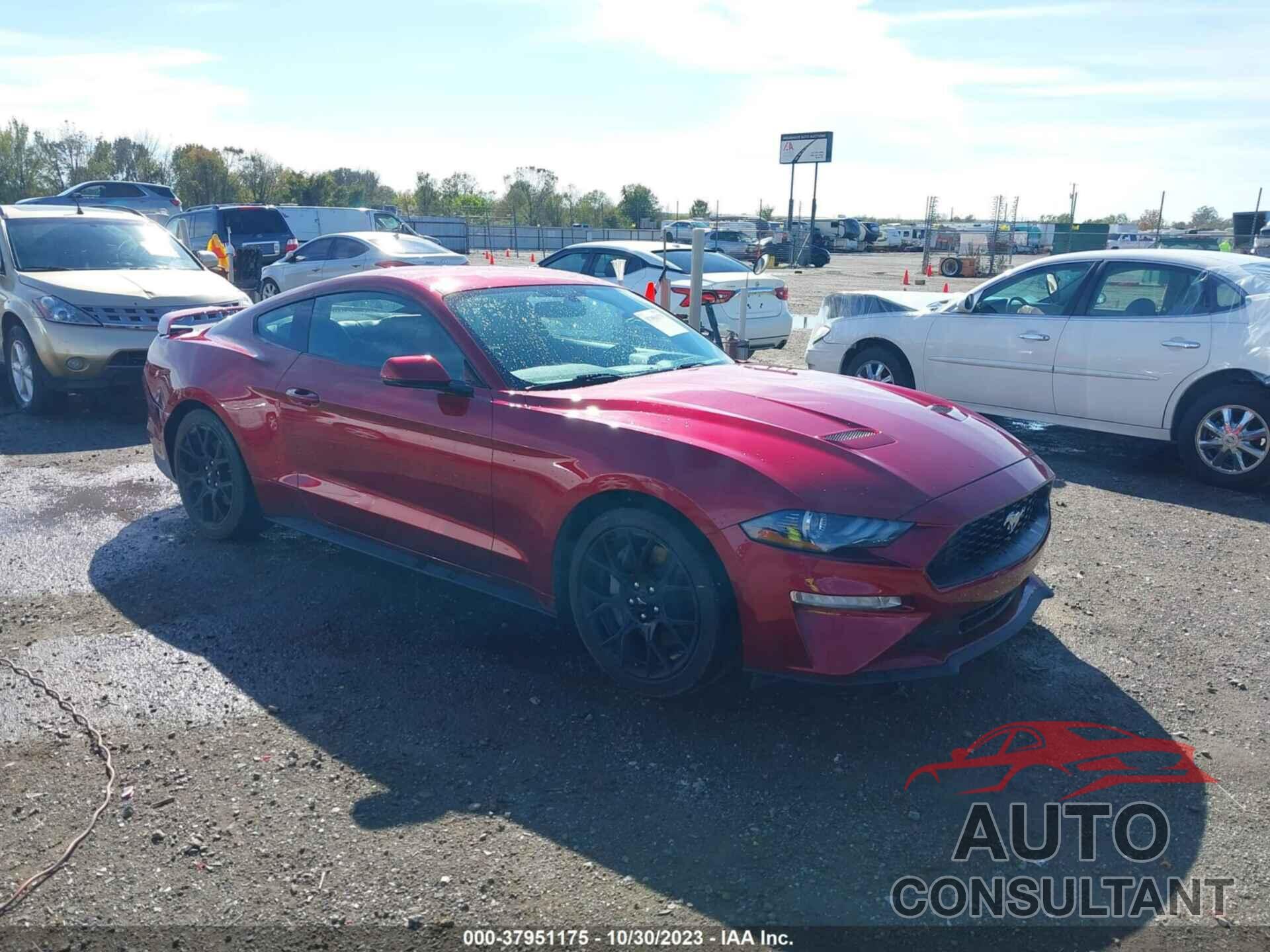 FORD MUSTANG 2019 - 1FA6P8TH4K5129439