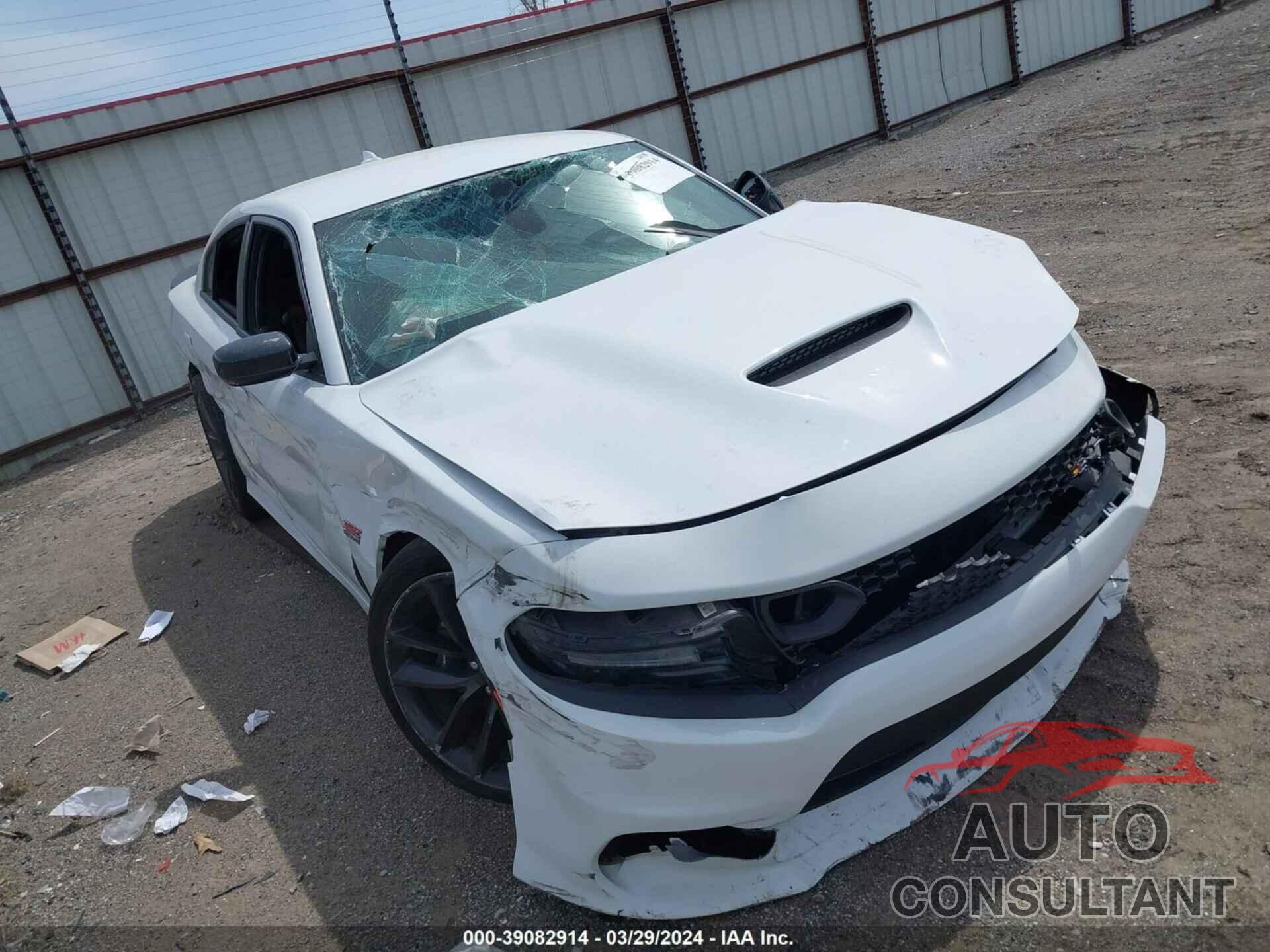 DODGE CHARGER 2019 - 2C3CDXGJ8KH674909