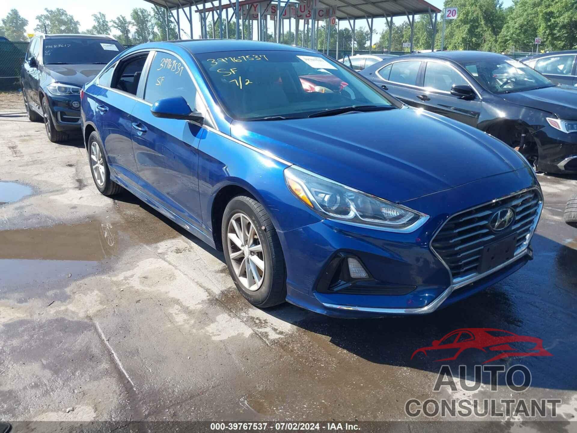 HYUNDAI SONATA 2019 - 5NPE24AF5KH753653