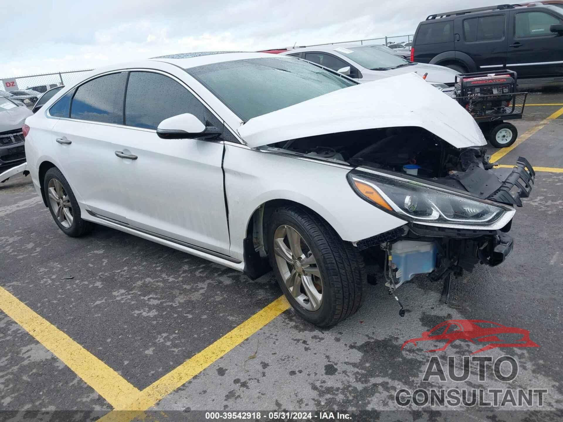 HYUNDAI SONATA 2019 - 5NPE34AF2KH757205