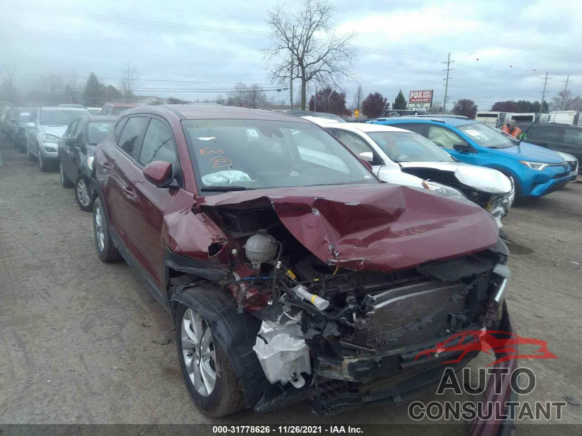 HYUNDAI TUCSON 2019 - KM8J23A48KU954049