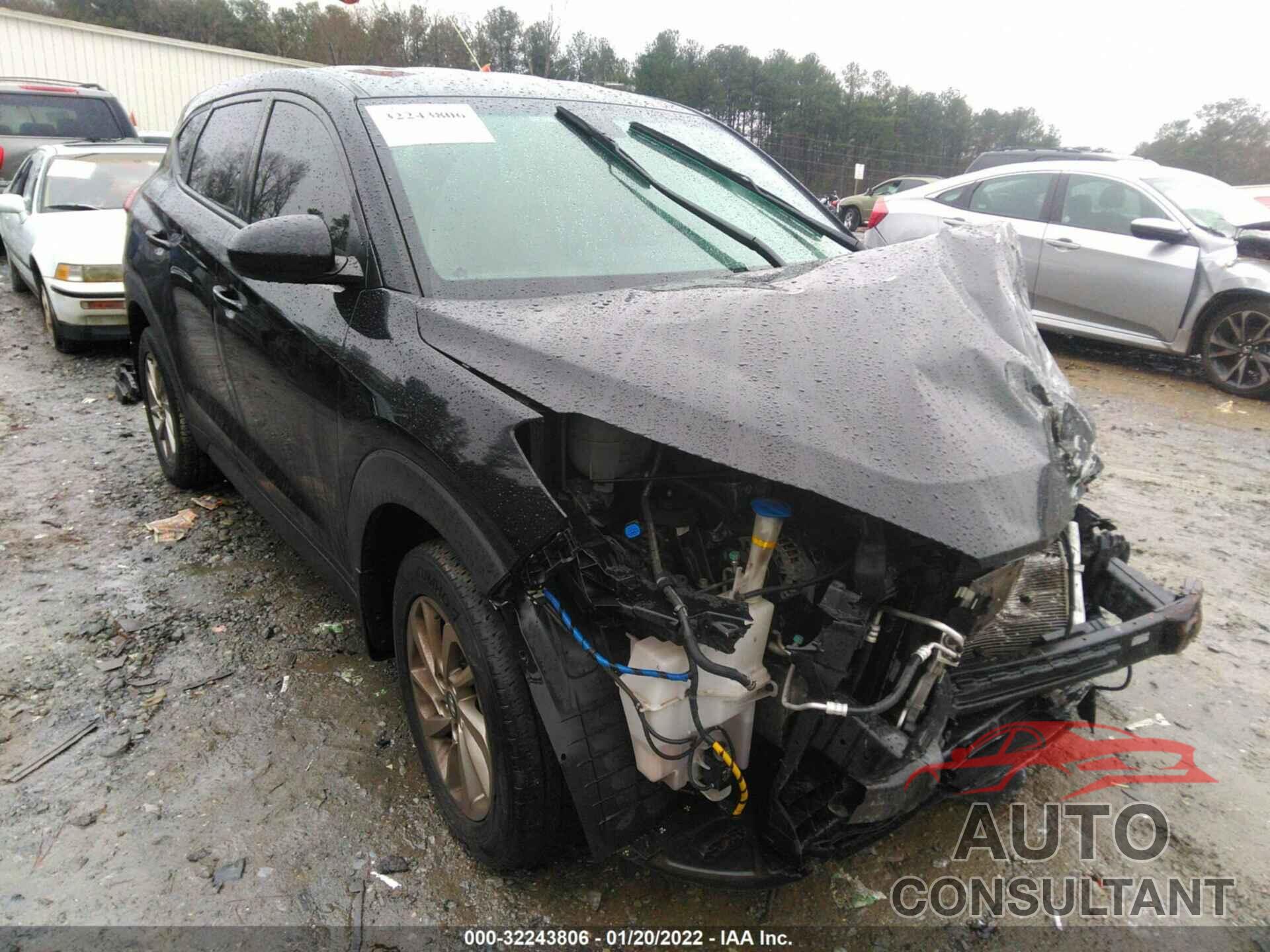 HYUNDAI TUCSON 2017 - KM8J23A40HU424005
