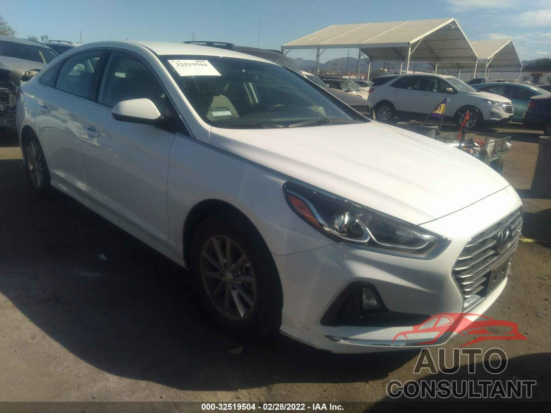 HYUNDAI SONATA 2019 - 5NPE24AF3KH819472