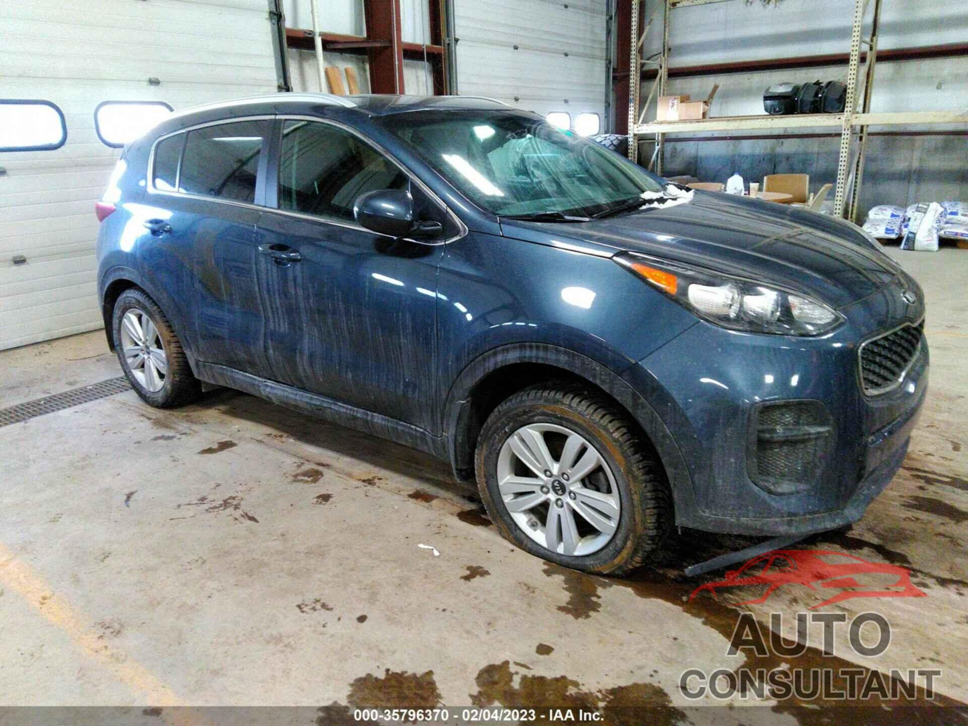 KIA SPORTAGE 2017 - KNDPM3AC9H7183950