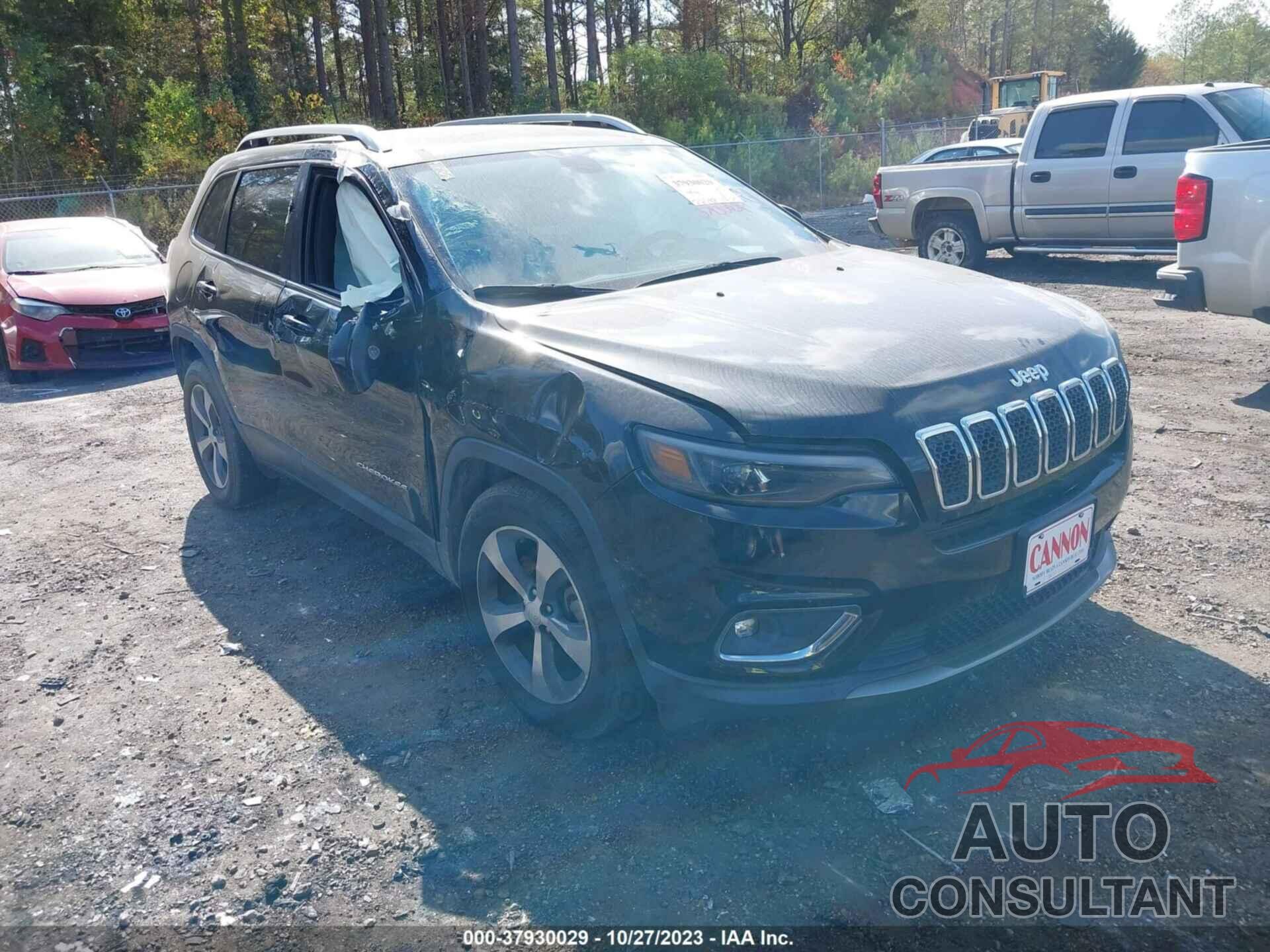 JEEP CHEROKEE 2019 - 1C4PJLDB1KD415980