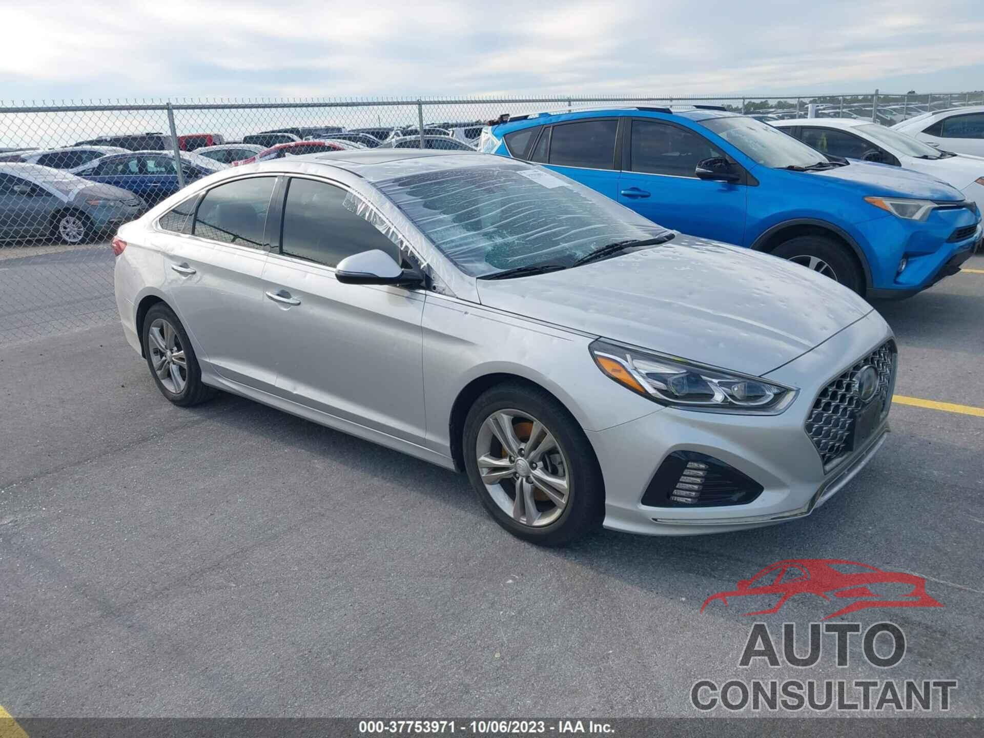 HYUNDAI SONATA 2019 - 5NPE34AF1KH747295