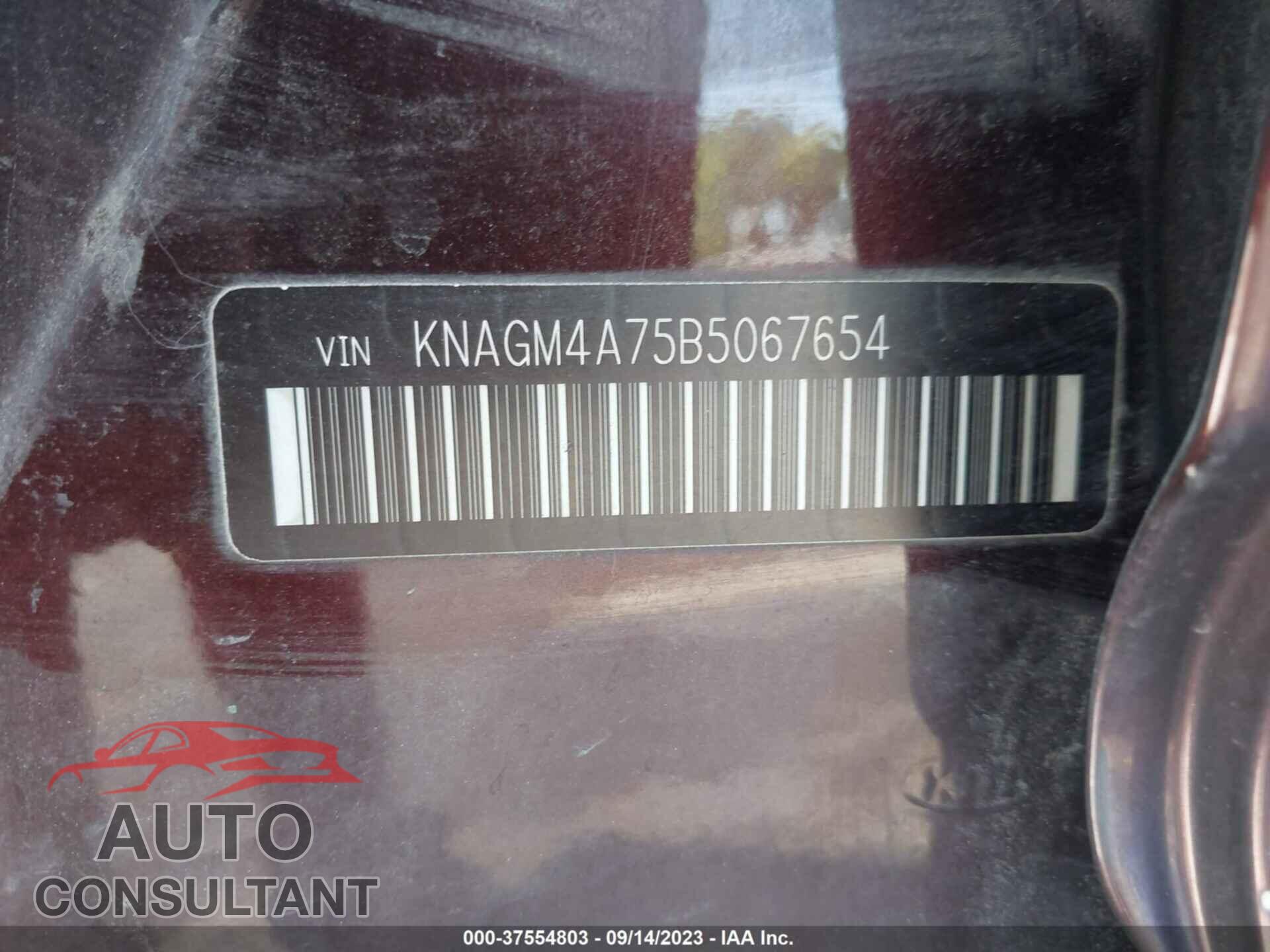 KIA OPTIMA 2011 - KNAGM4A75B5067654