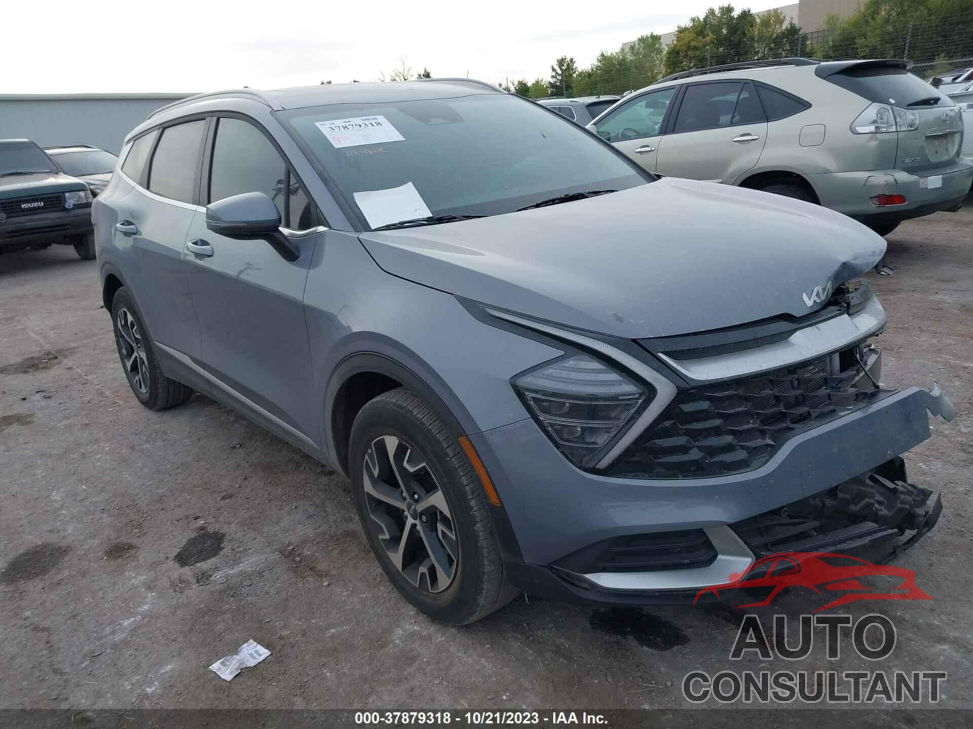 KIA SPORTAGE 2024 - 5XYK3CDF3RG145007