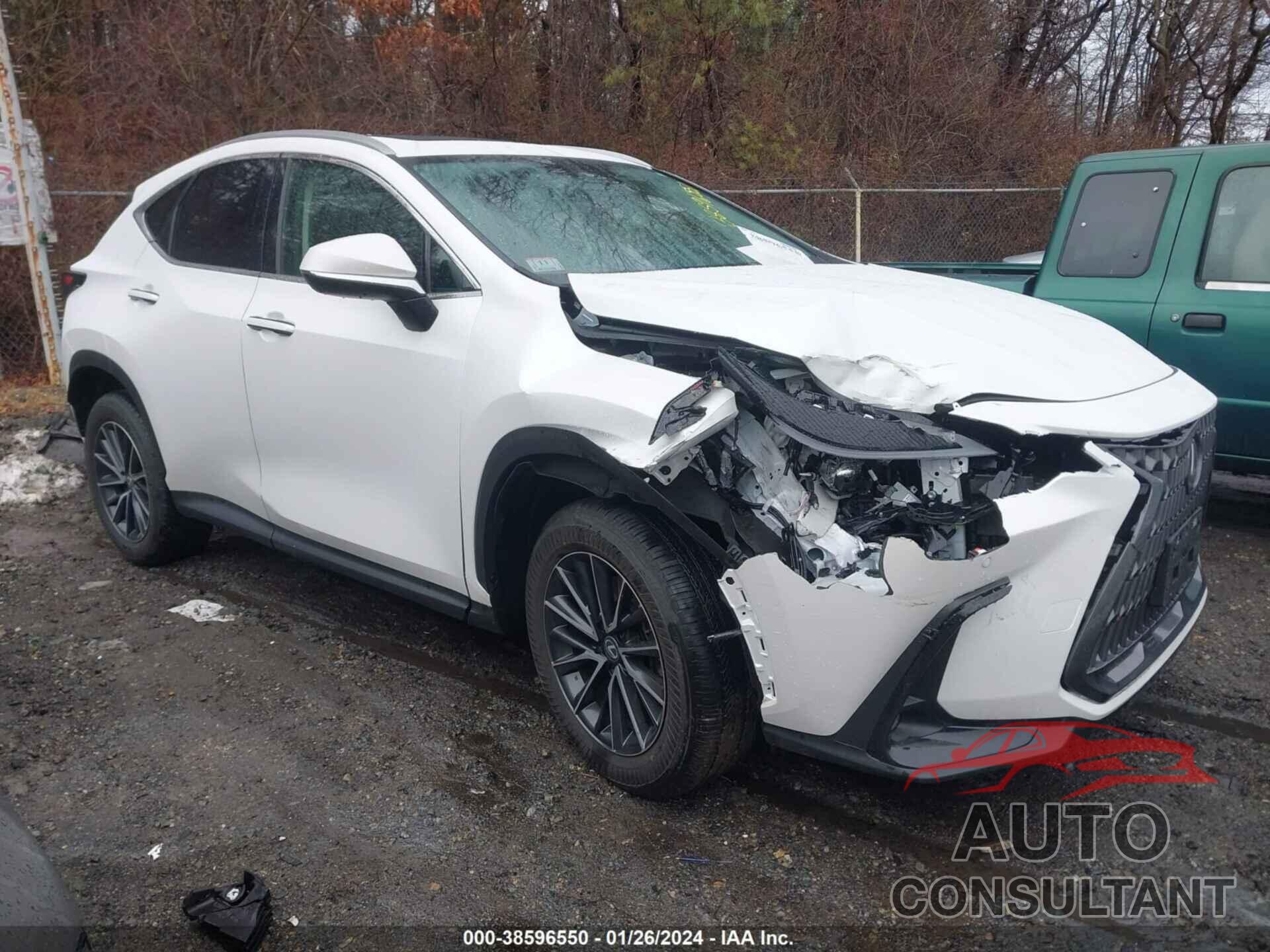 LEXUS NX 350 2024 - 2T2GGCEZ0RC050396