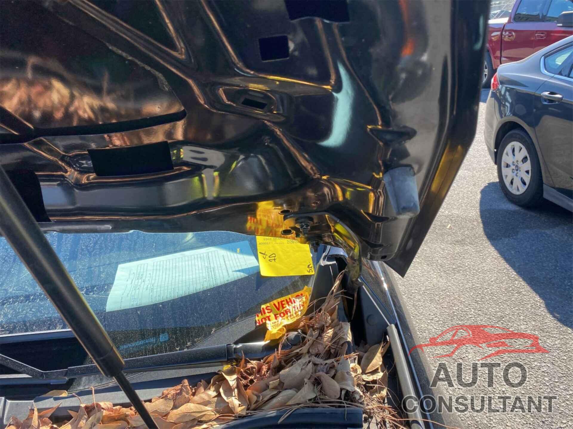 FORD EDGE 2019 - 2FMPK3K95KBC40387