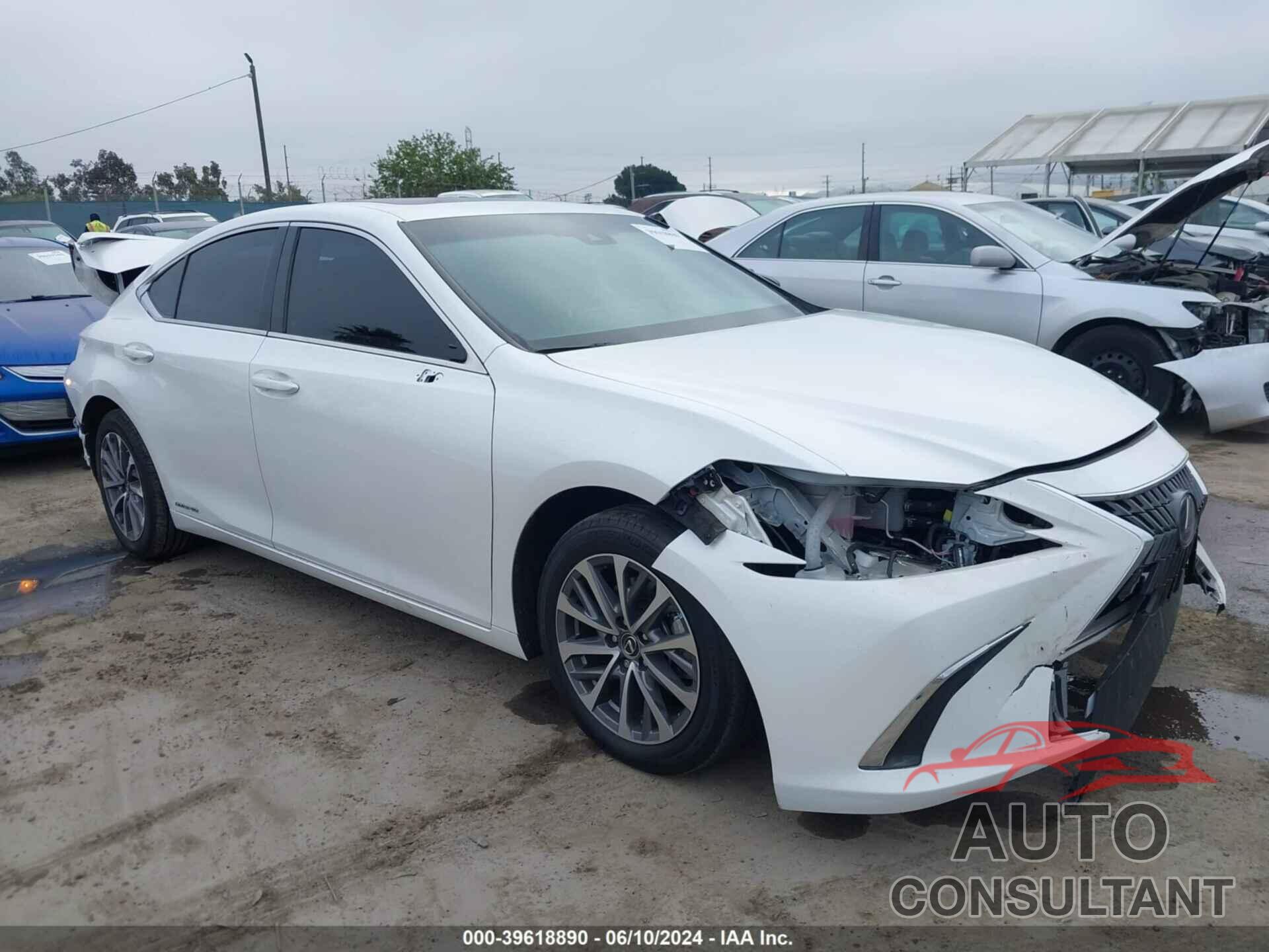 LEXUS ES 300H 2022 - 58ACA1C19NU023737