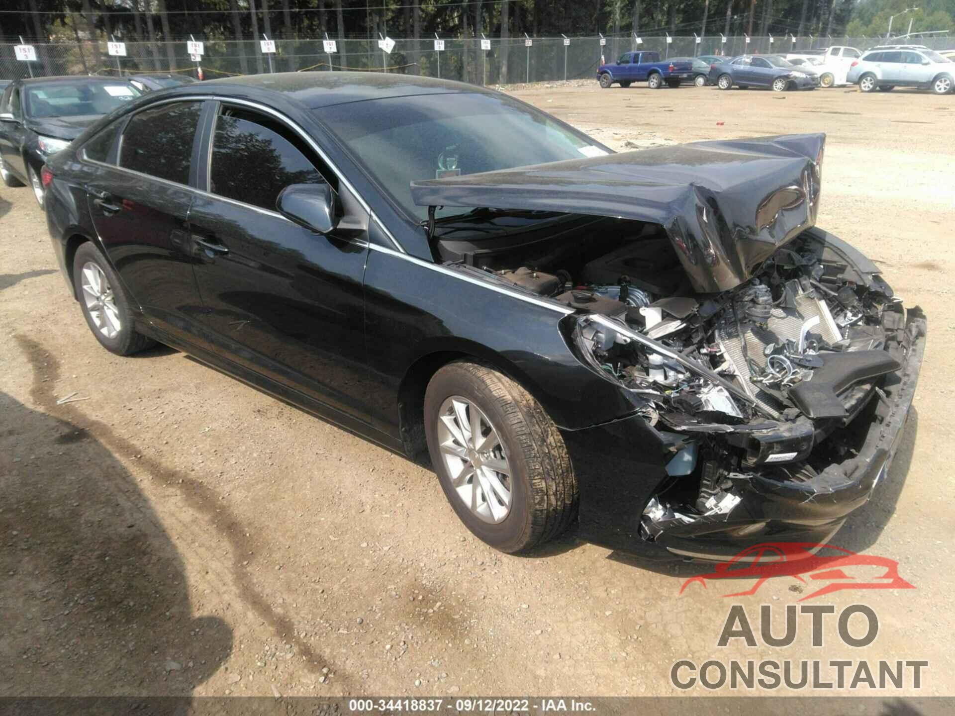 HYUNDAI SONATA 2018 - 5NPE24AF0JH675801