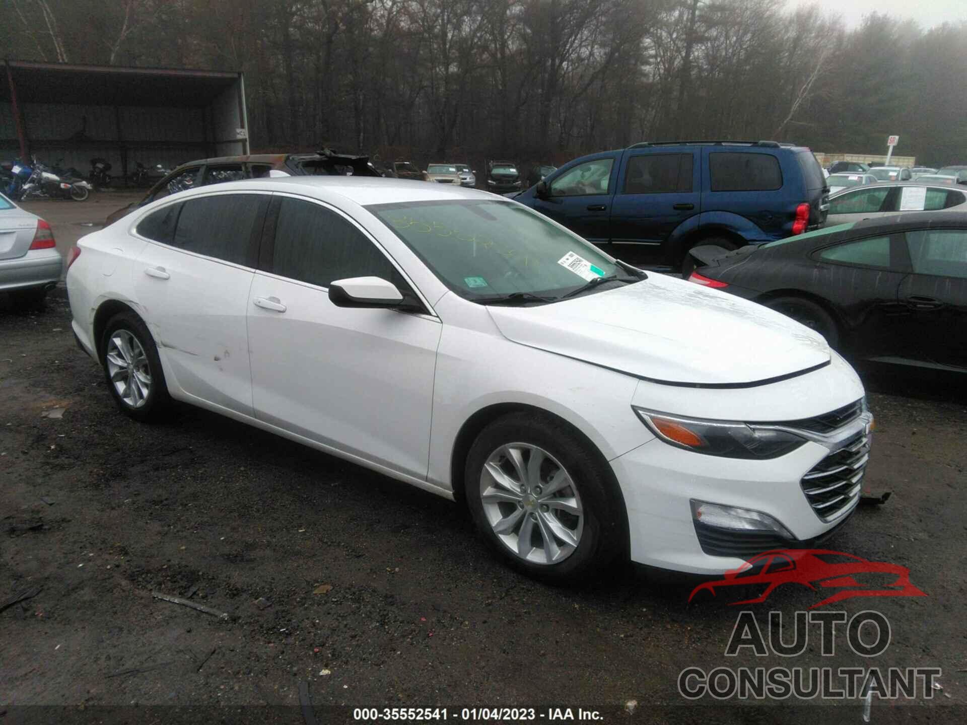 CHEVROLET MALIBU 2019 - 1G1ZD5ST4KF117587