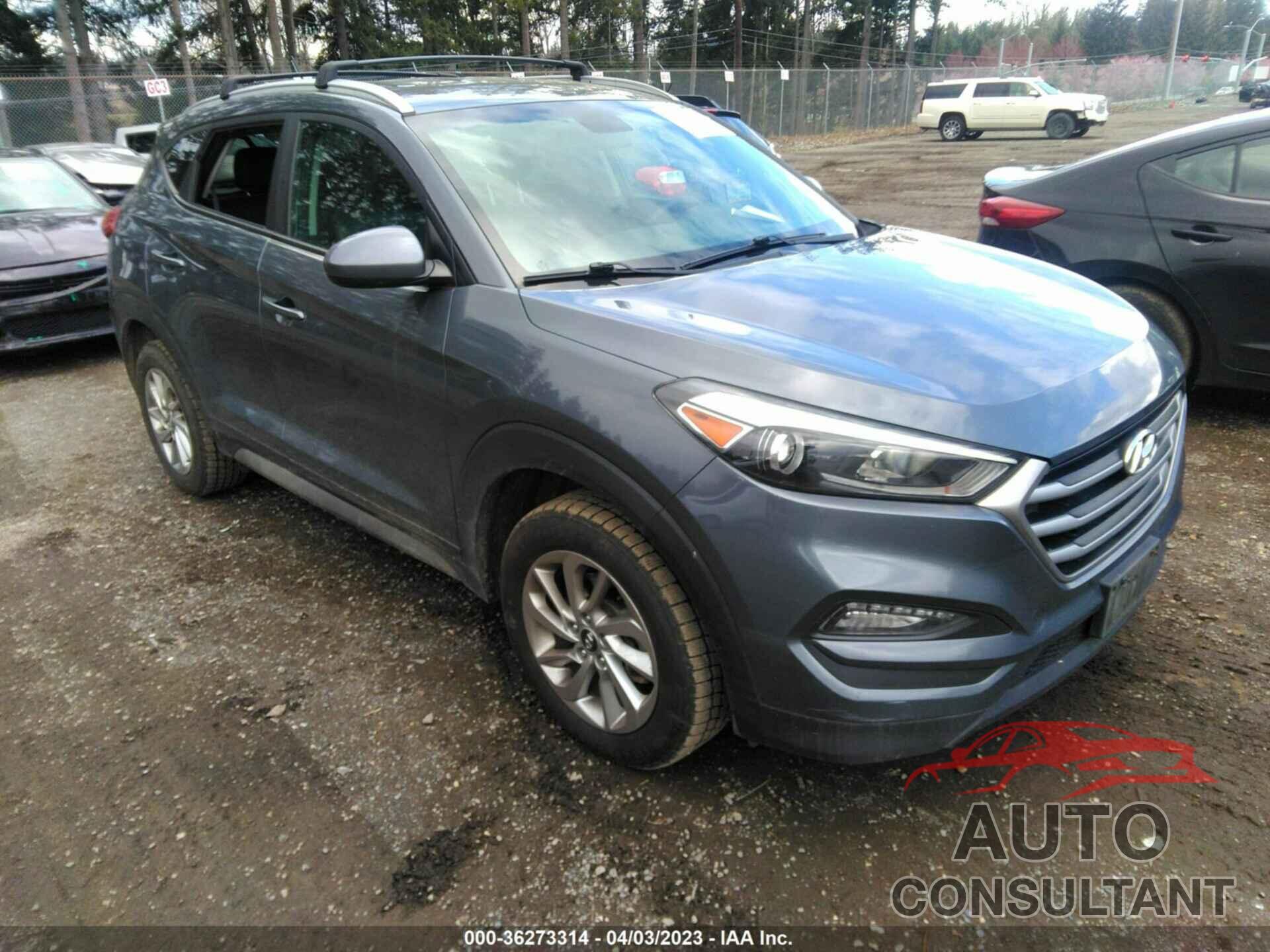 HYUNDAI TUCSON 2017 - KM8J3CA44HU318167