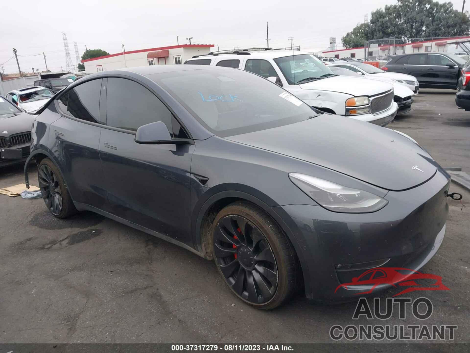 TESLA MODEL Y 2022 - 7SAYGDEFXNF558579