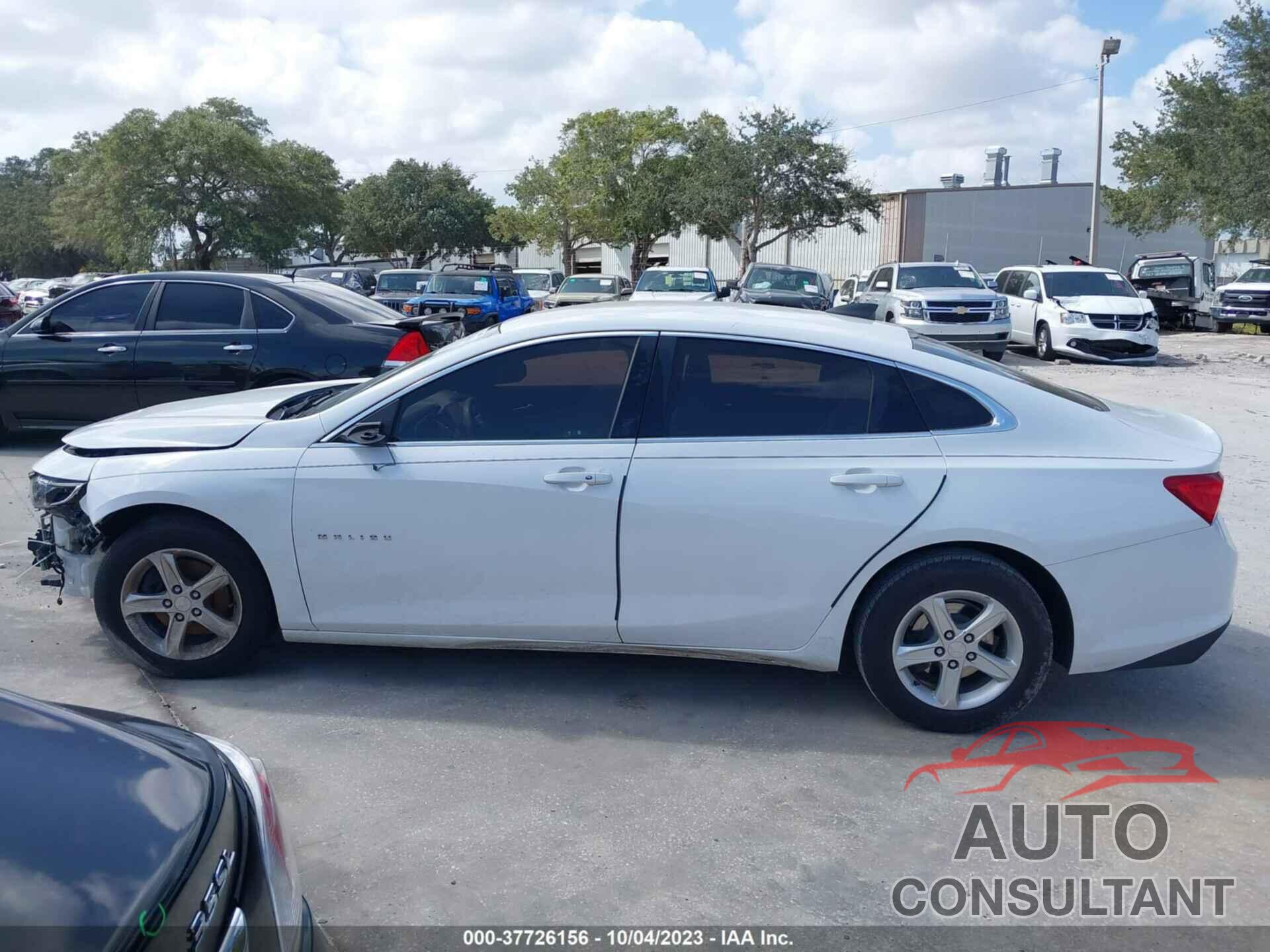 CHEVROLET MALIBU 2019 - 1G1ZB5ST2KF200957