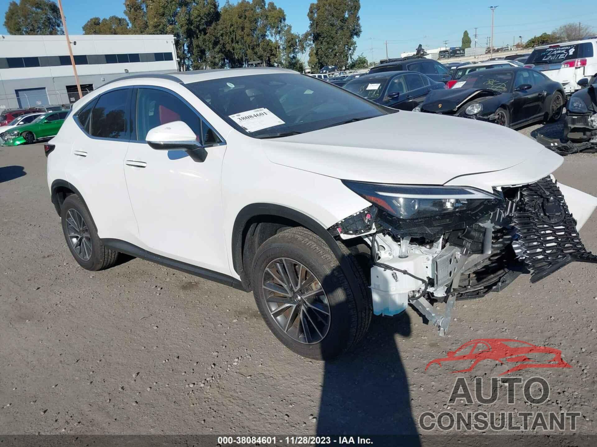 LEXUS NX 250 2024 - JTJADCAZ4R5015718