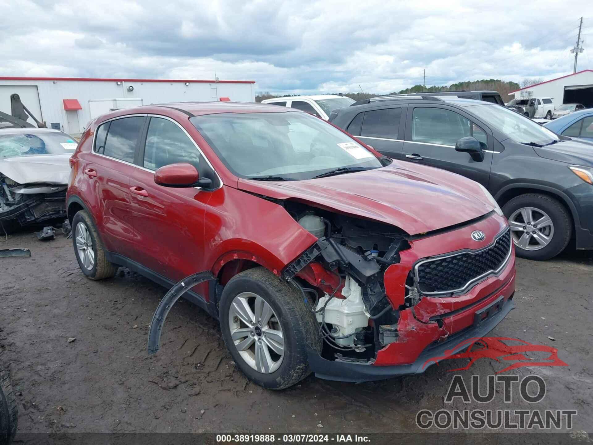 KIA SPORTAGE 2017 - KNDPM3AC9H7175556