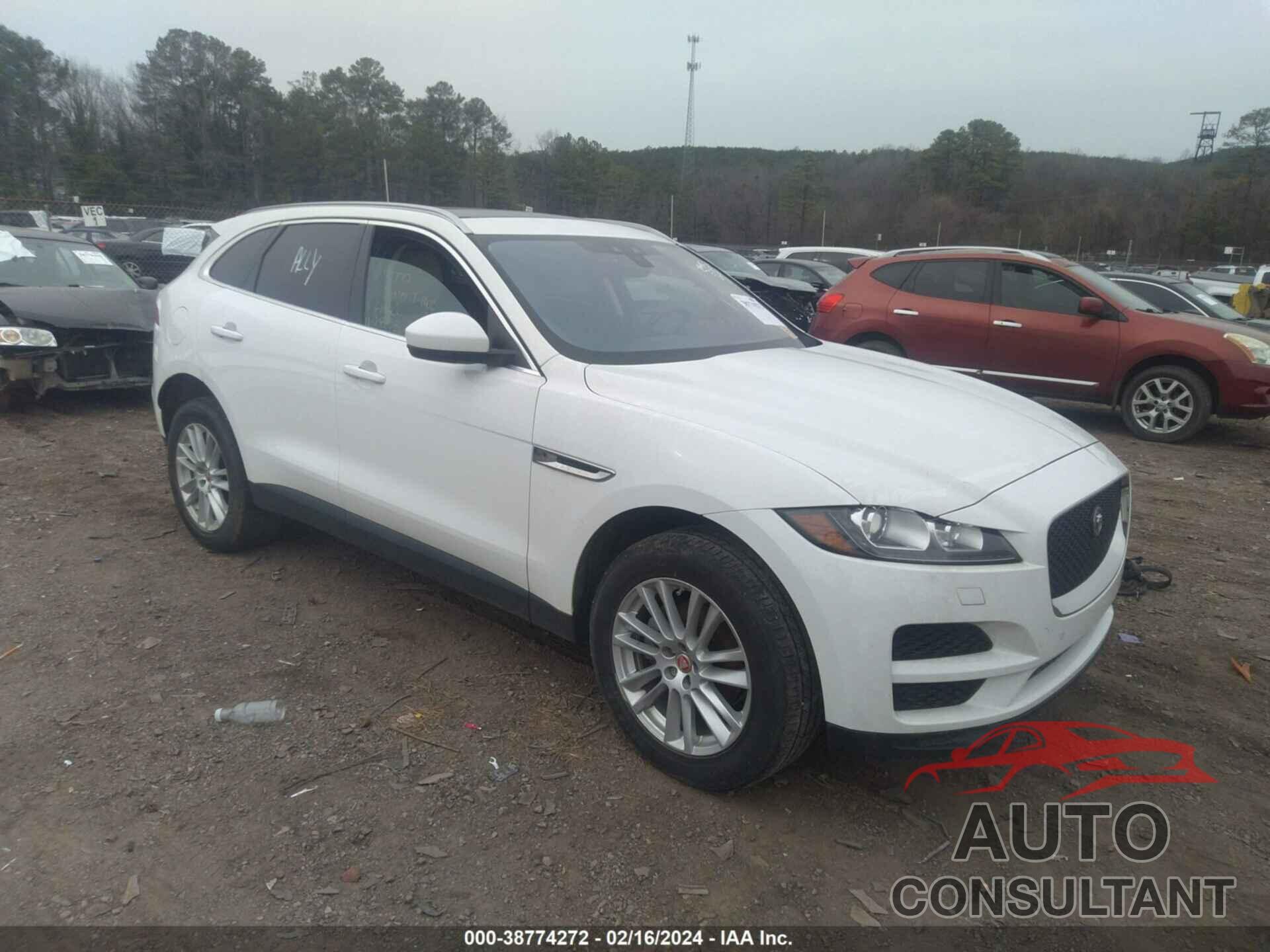 JAGUAR F-PACE 2020 - SADCK2FX2LA648000